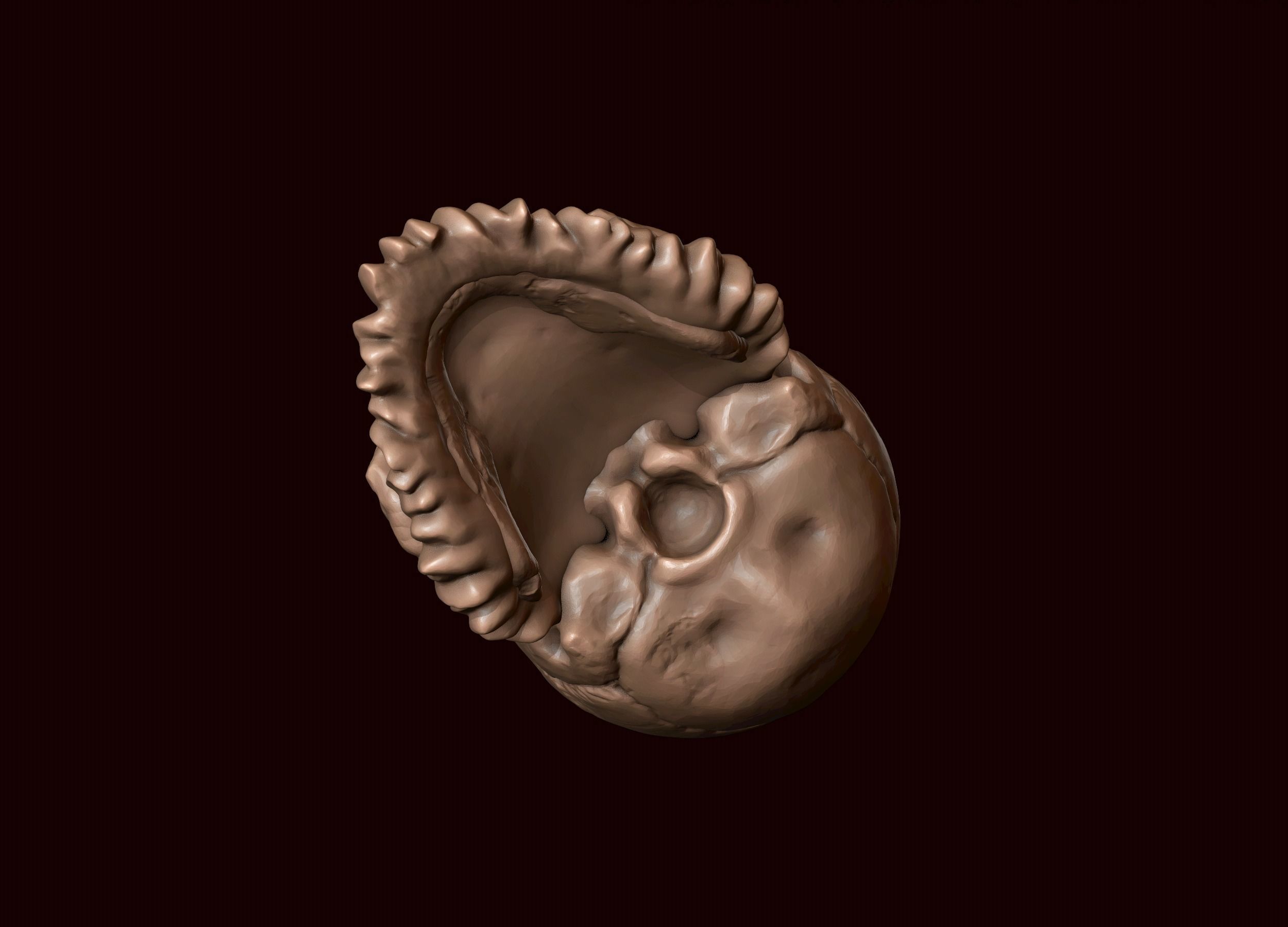 Skull with Beard and Mustache 3D print model_10