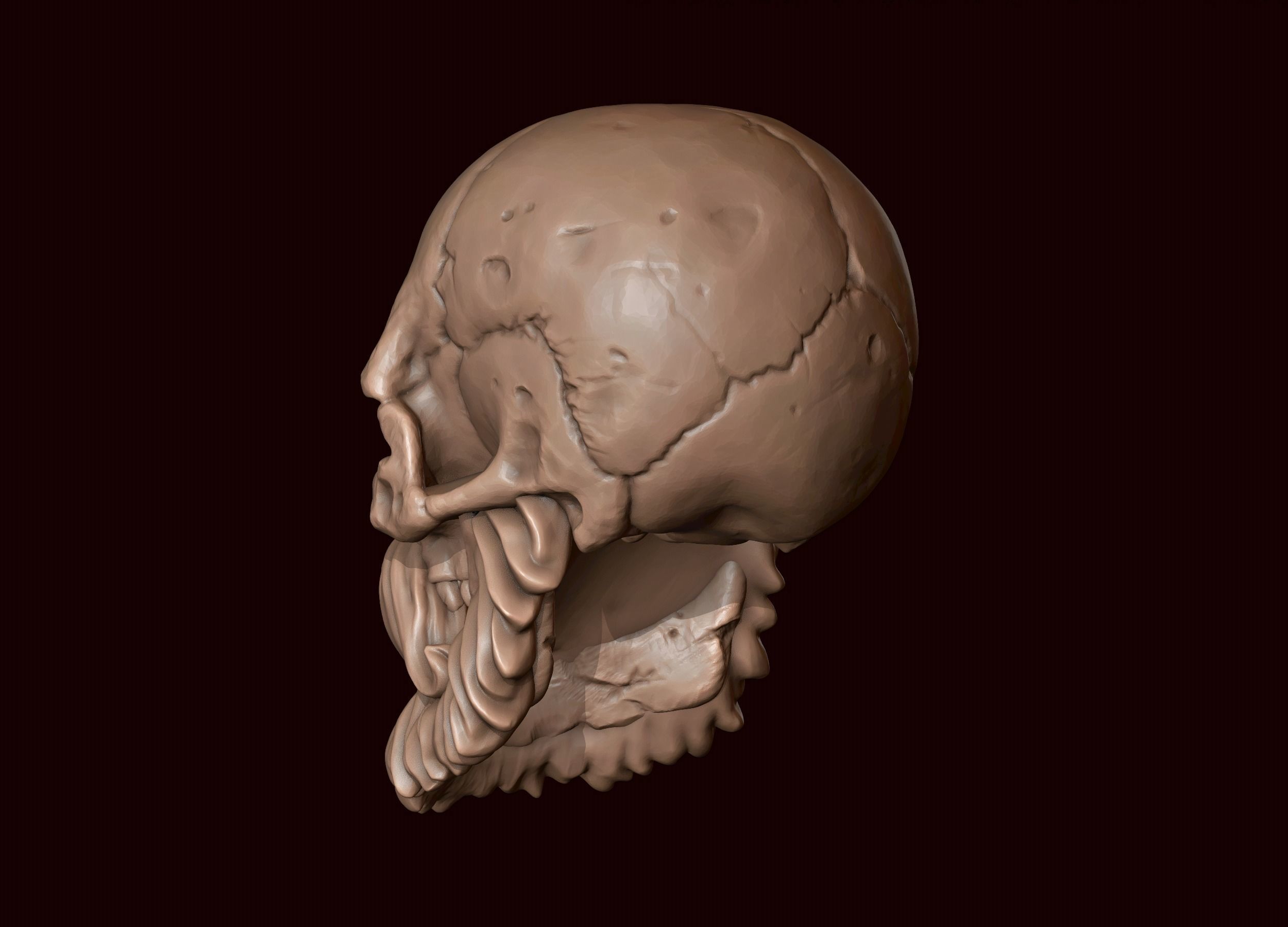 Skull with Beard and Mustache 3D print model_3