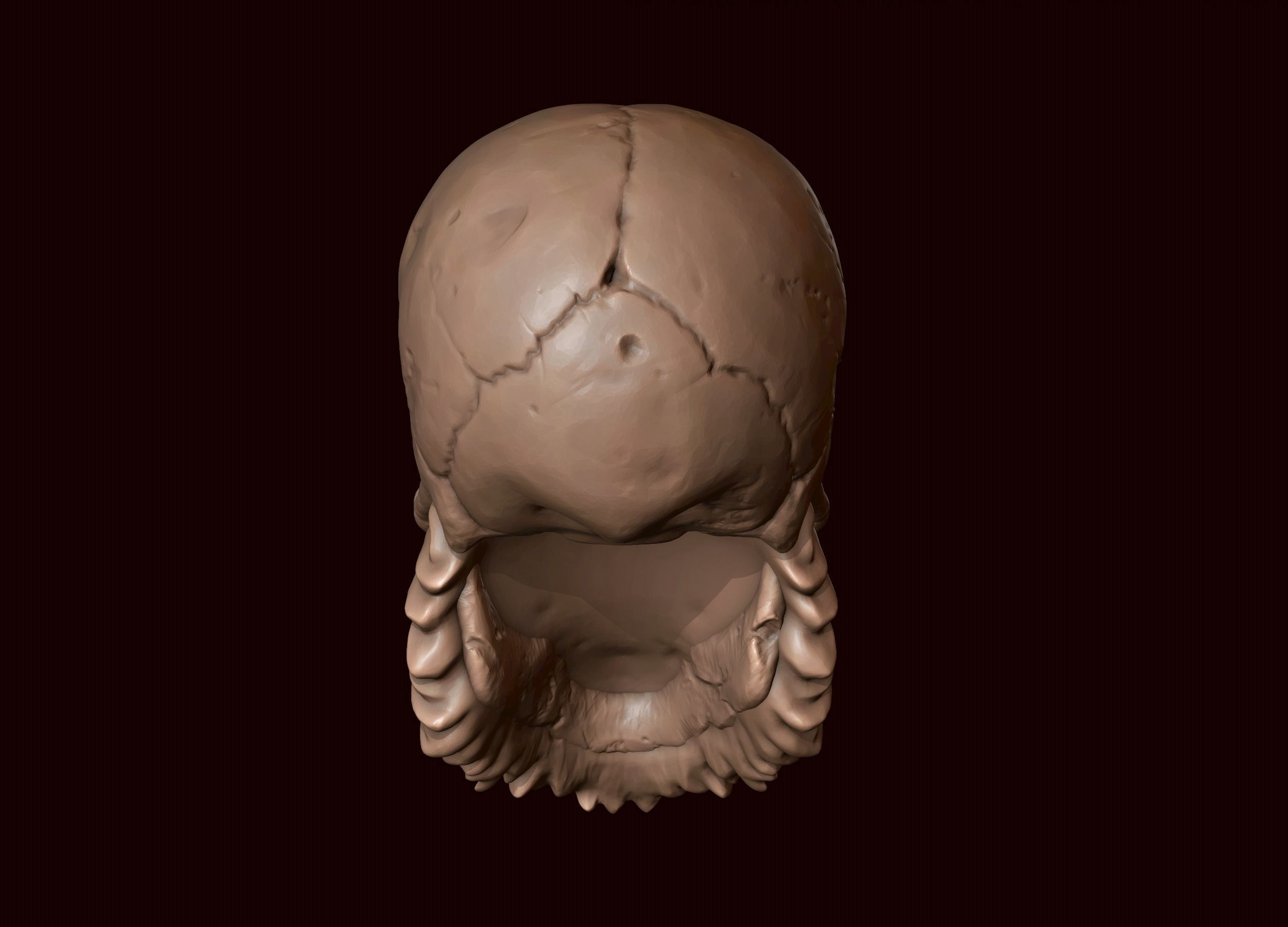 Skull with Beard and Mustache 3D print model_4
