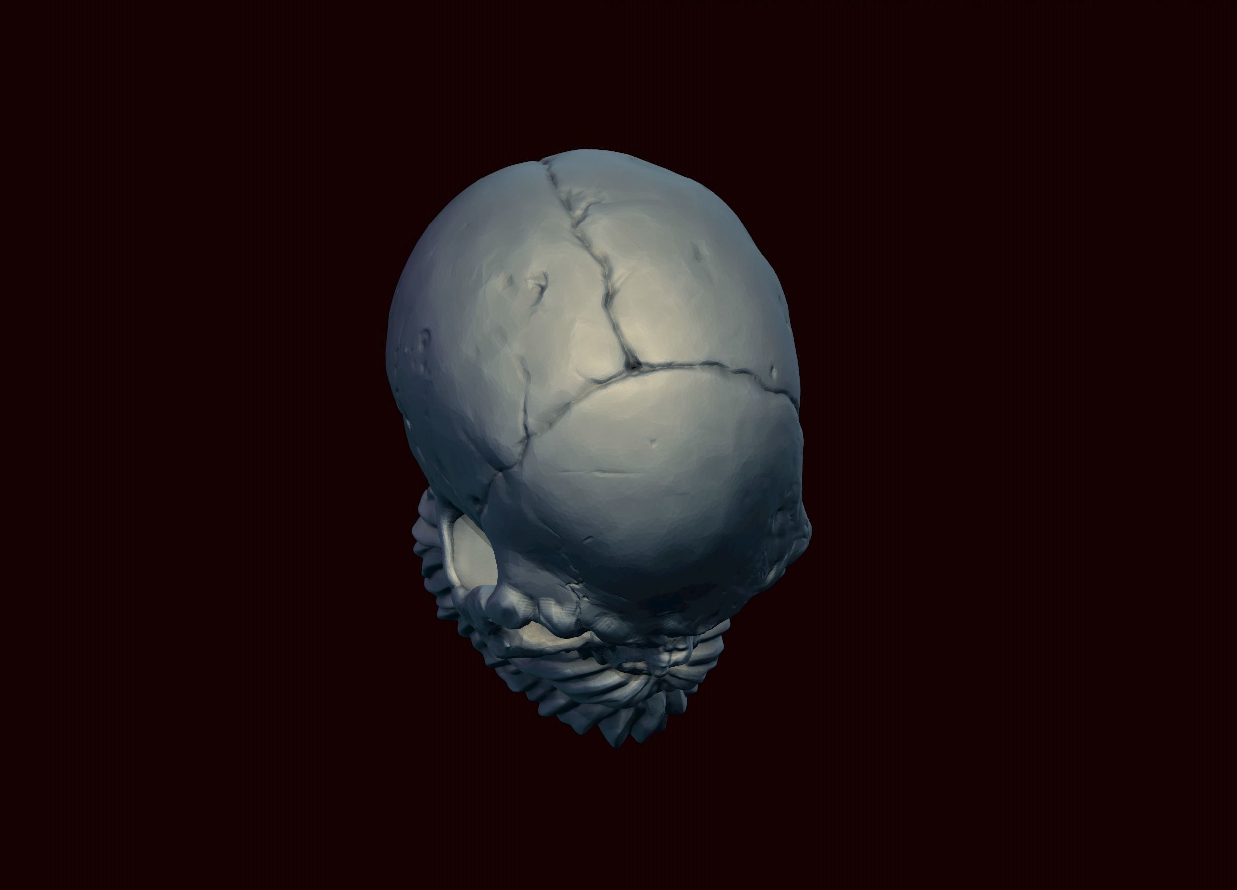 Skull with Beard and Mustache 3D print model_13