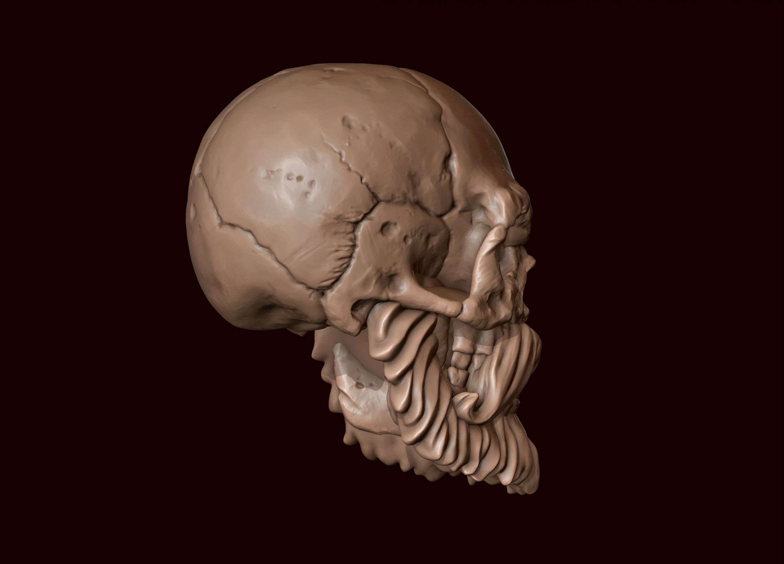 Skull with Beard and Mustache 3D print model_5