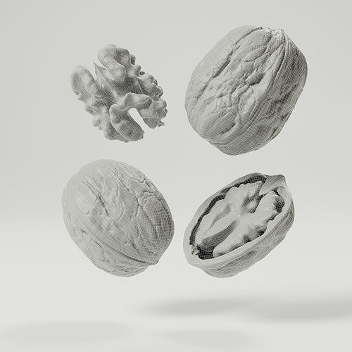 Walnuts 3D model 2