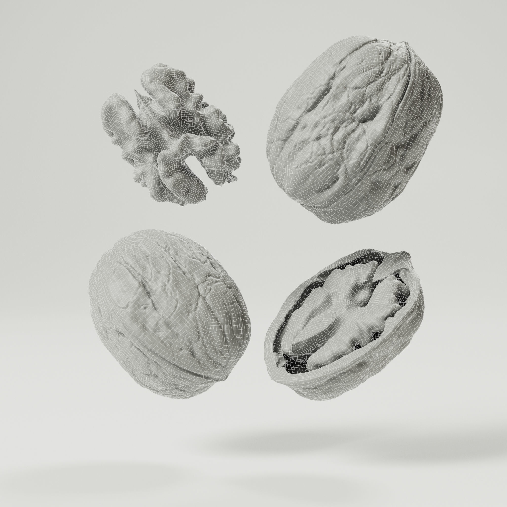 Walnuts 3D model_1