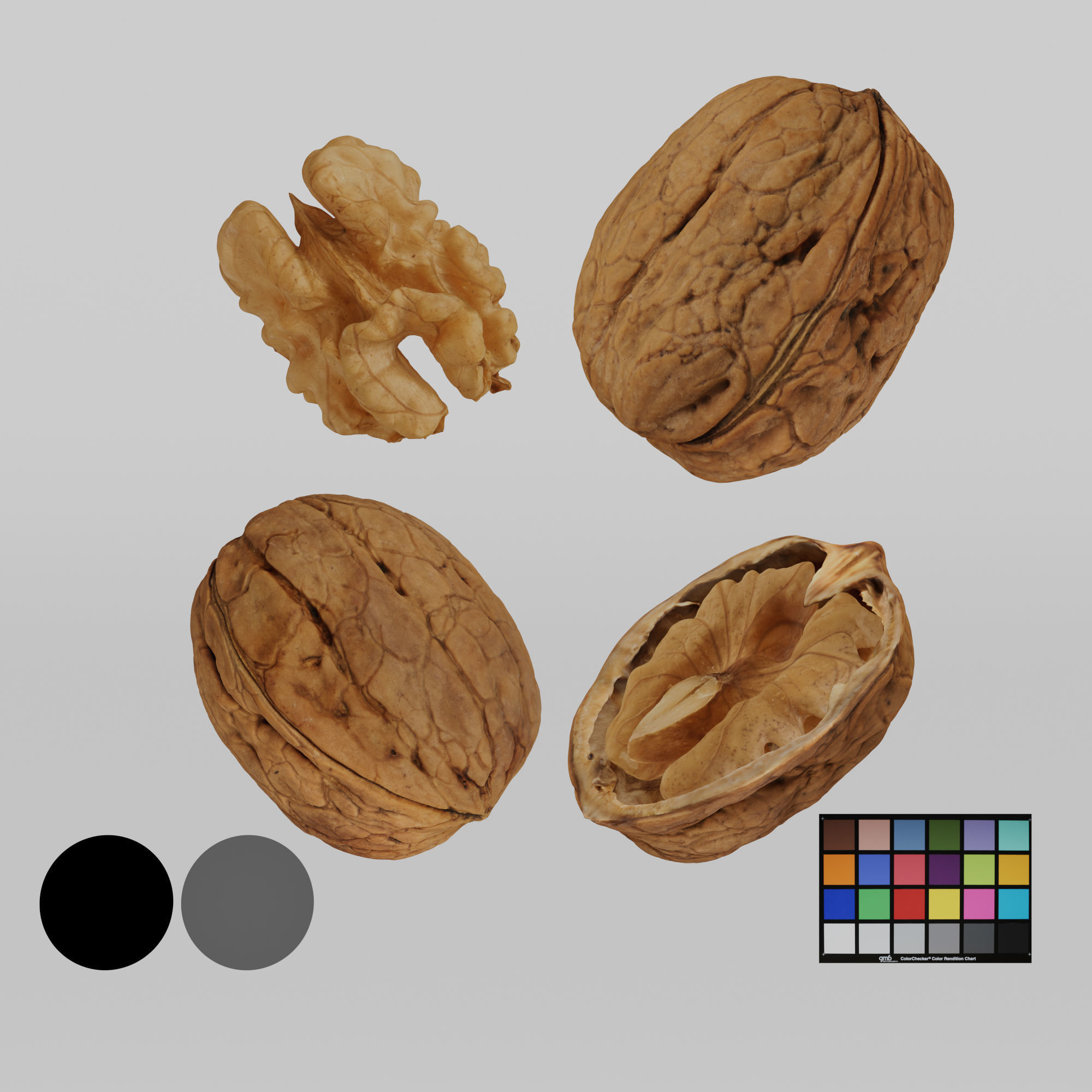 Walnuts 3D model_2