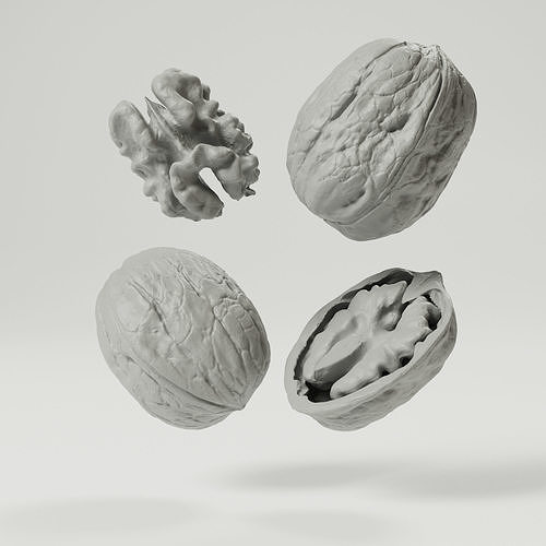 Walnuts 3D model 4