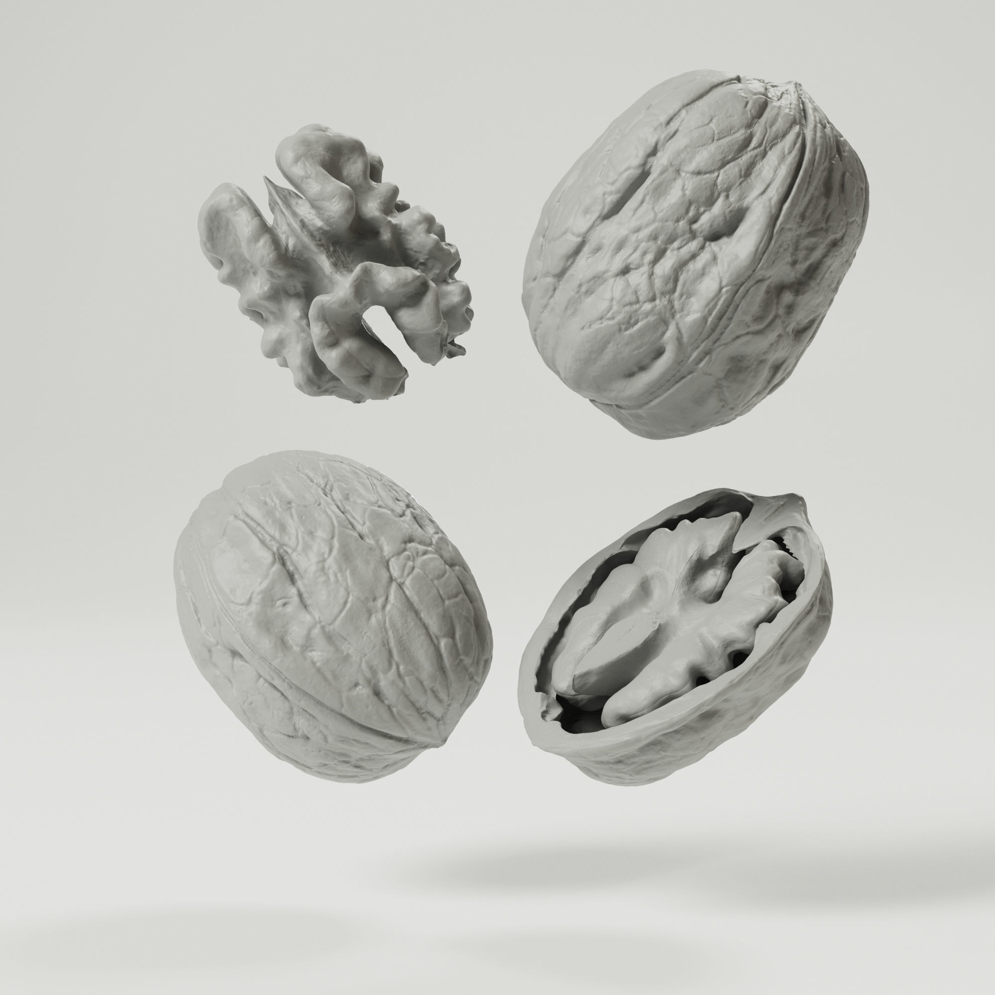 Walnuts 3D model_3