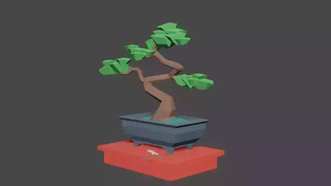 Bonsai tree