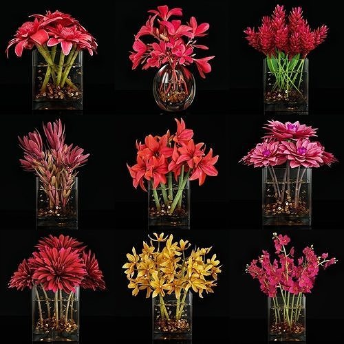Plant collection 4 flowers in glass vase 