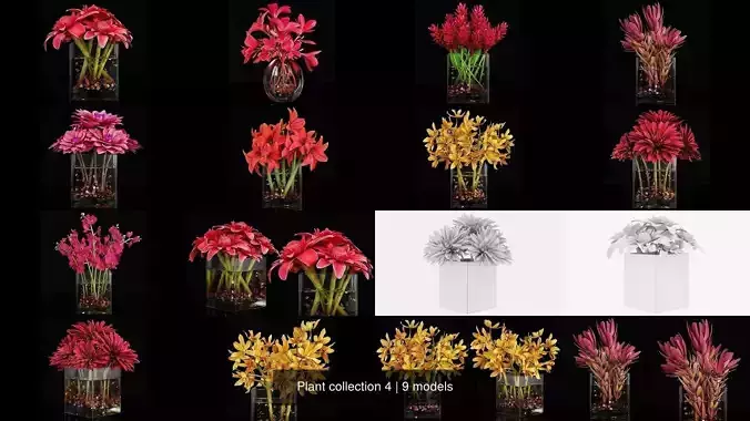 Plant collection 4 flowers in glass vase