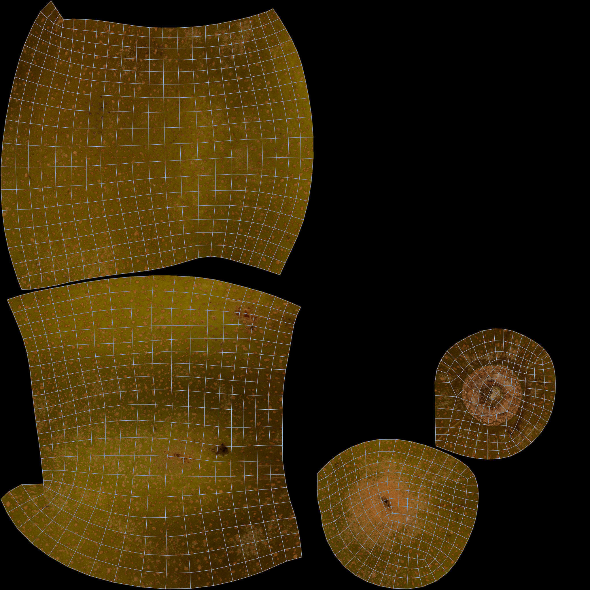 Kiwi Fruit 3D Model AR VR Low-poly 3D model_16