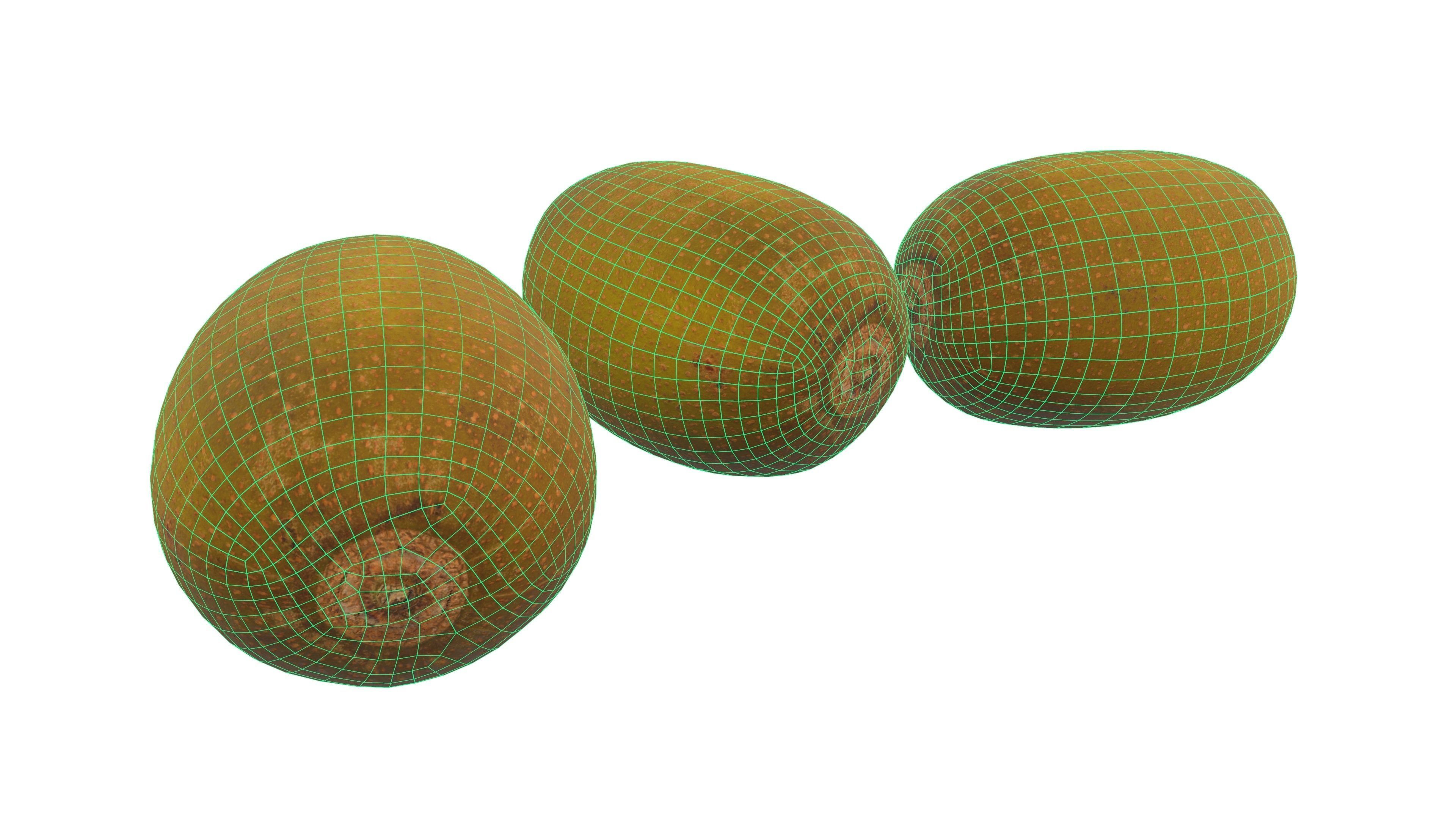 Kiwi Fruit 3D Model AR VR Low-poly 3D model_15
