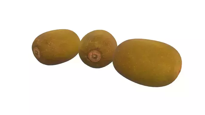 Kiwi Fruit 3D Model AR VR