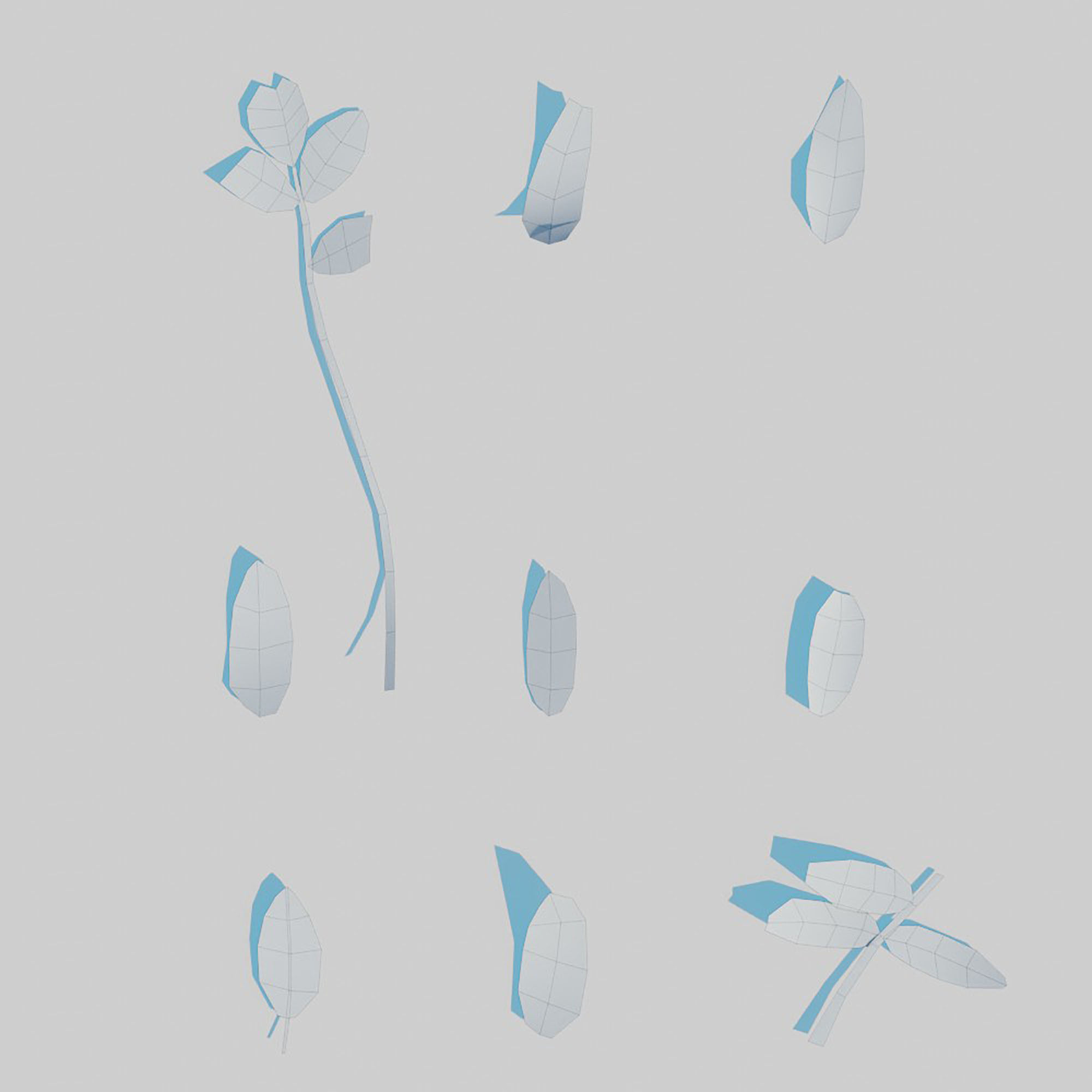 Dry Plants Pack 3D model_38