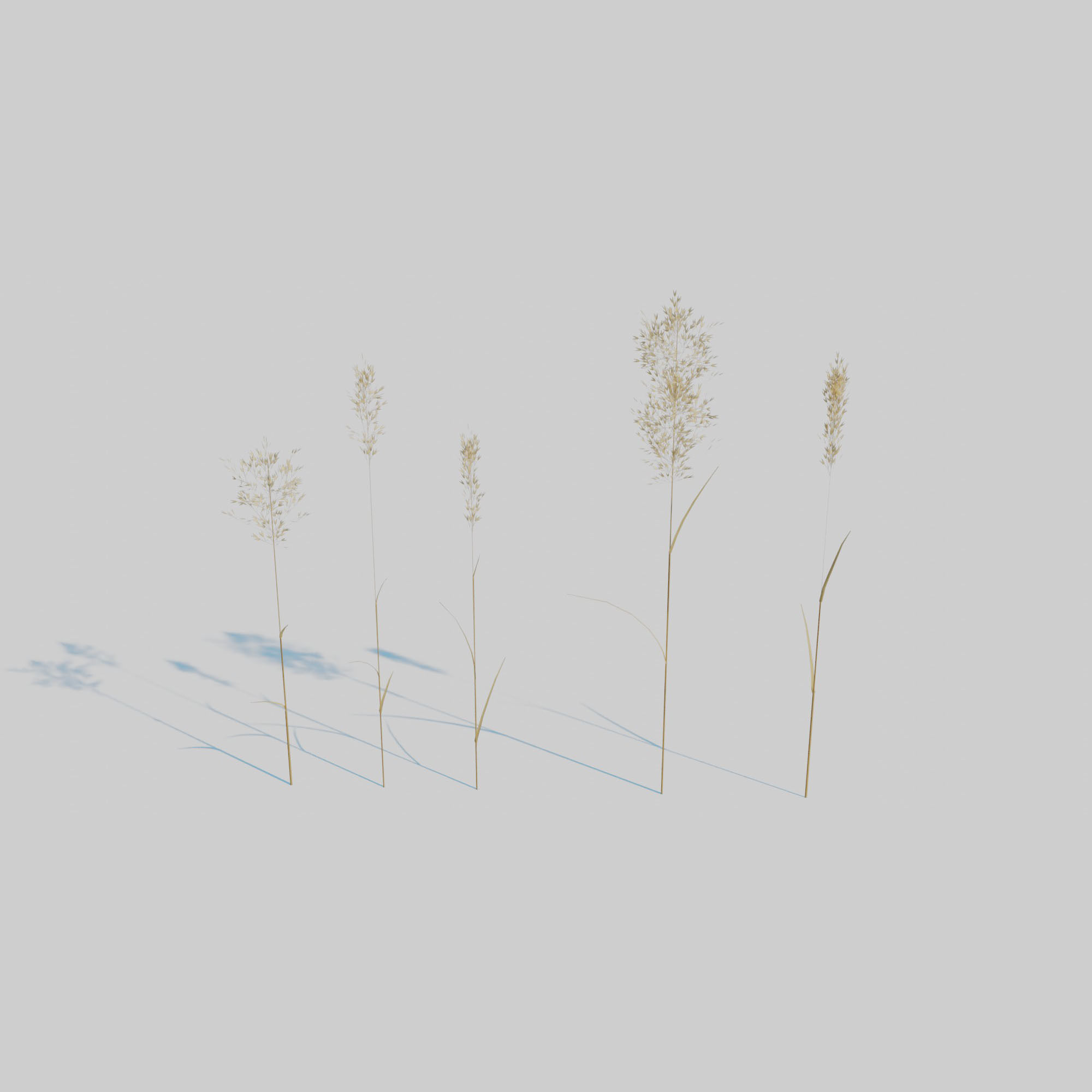 Dry Plants Pack 3D model_21