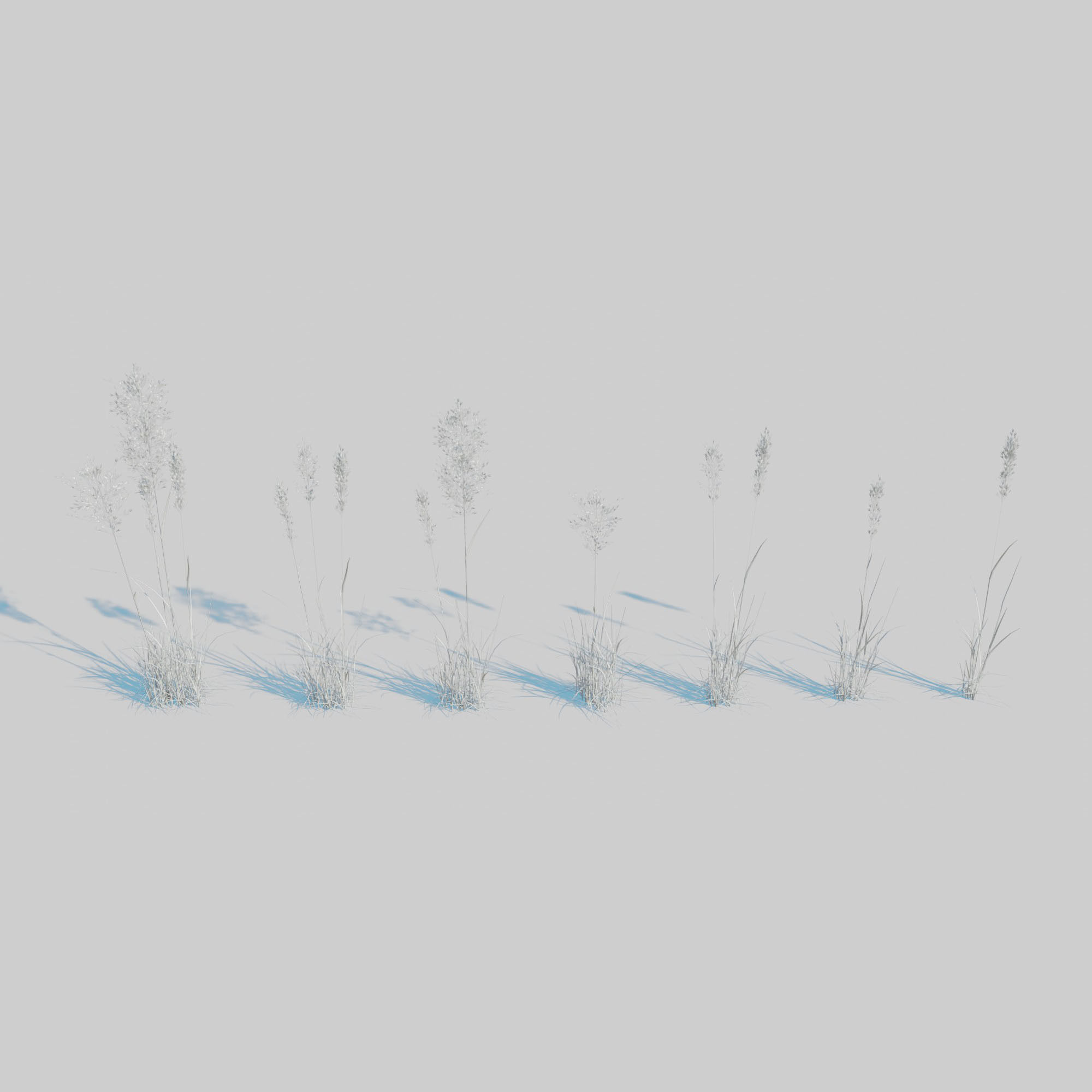 Dry Plants Pack 3D model_16