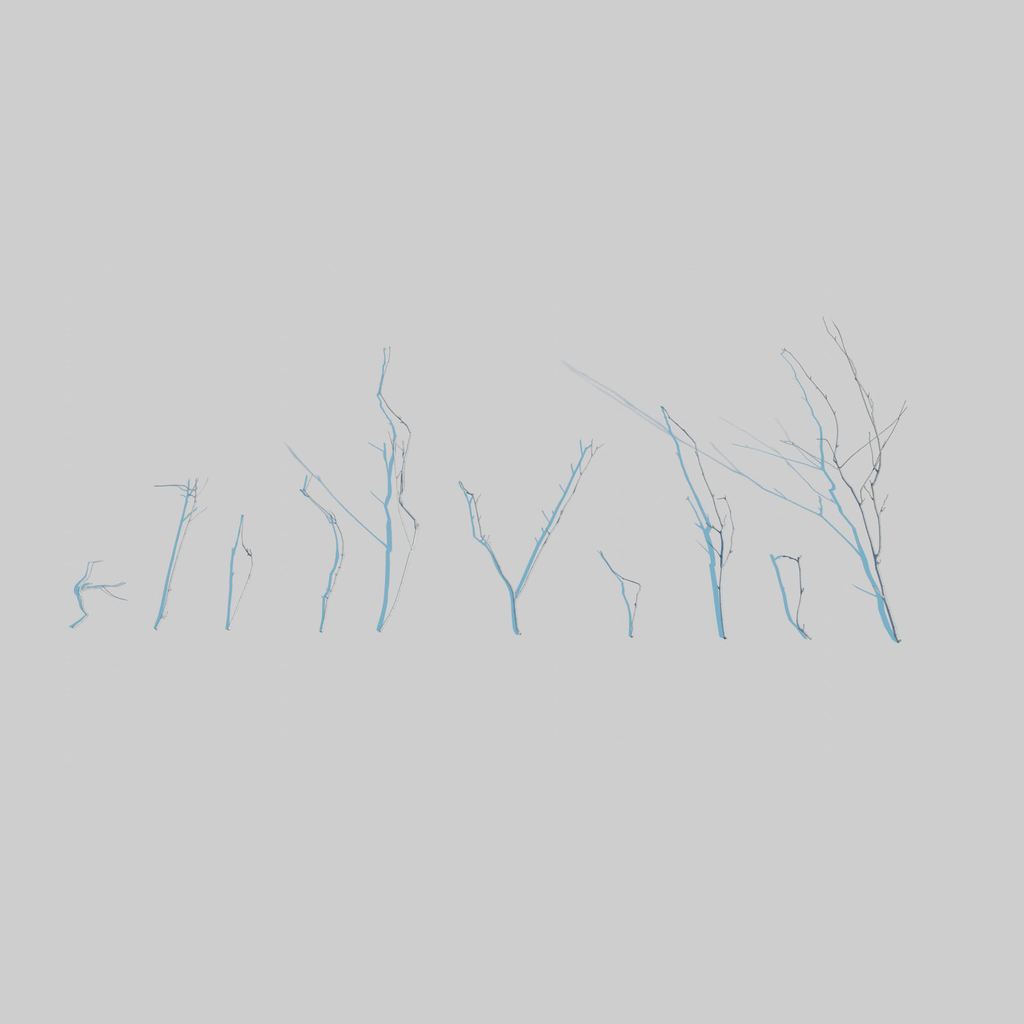 Dry Plants Pack 3D model_26