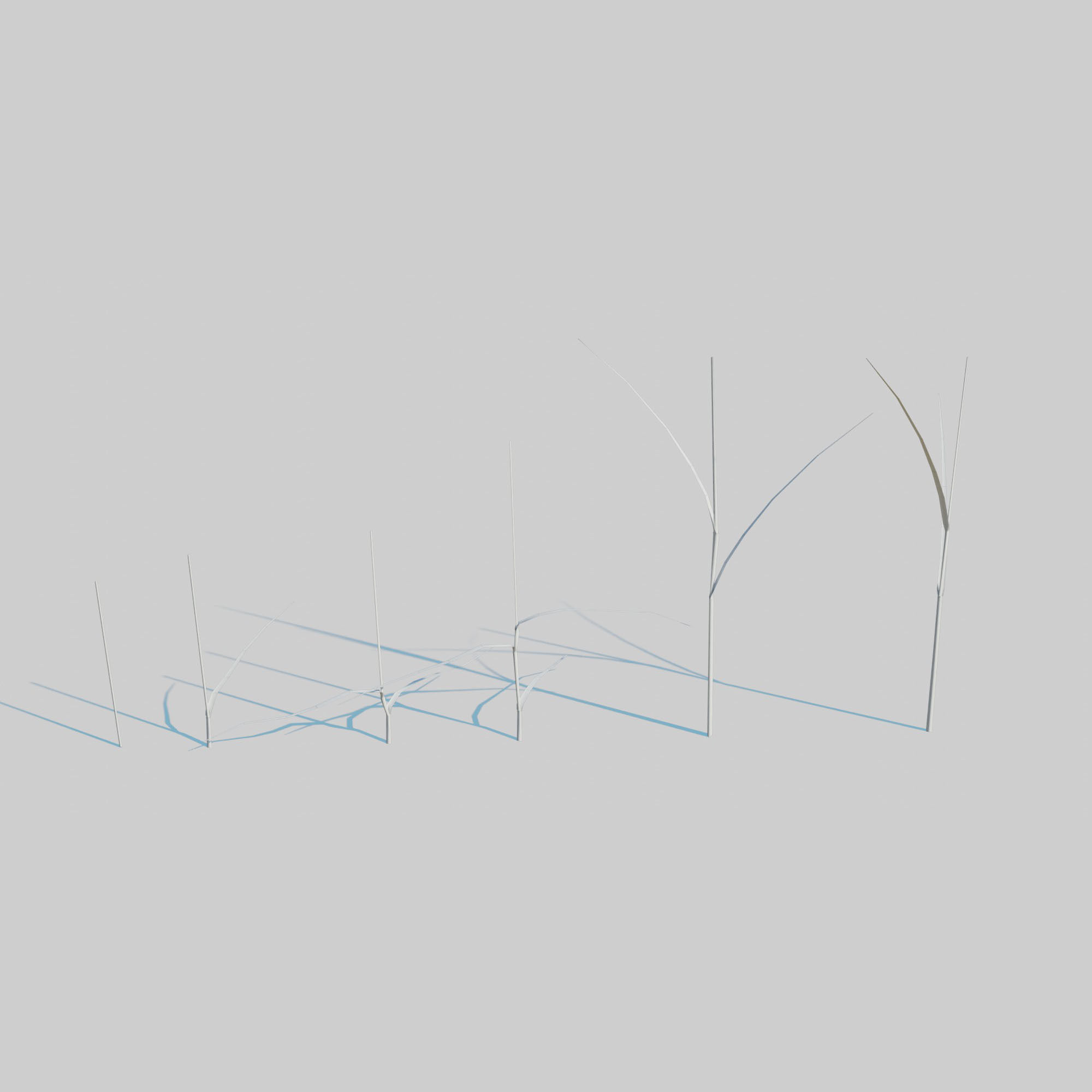 Dry Plants Pack 3D model_18