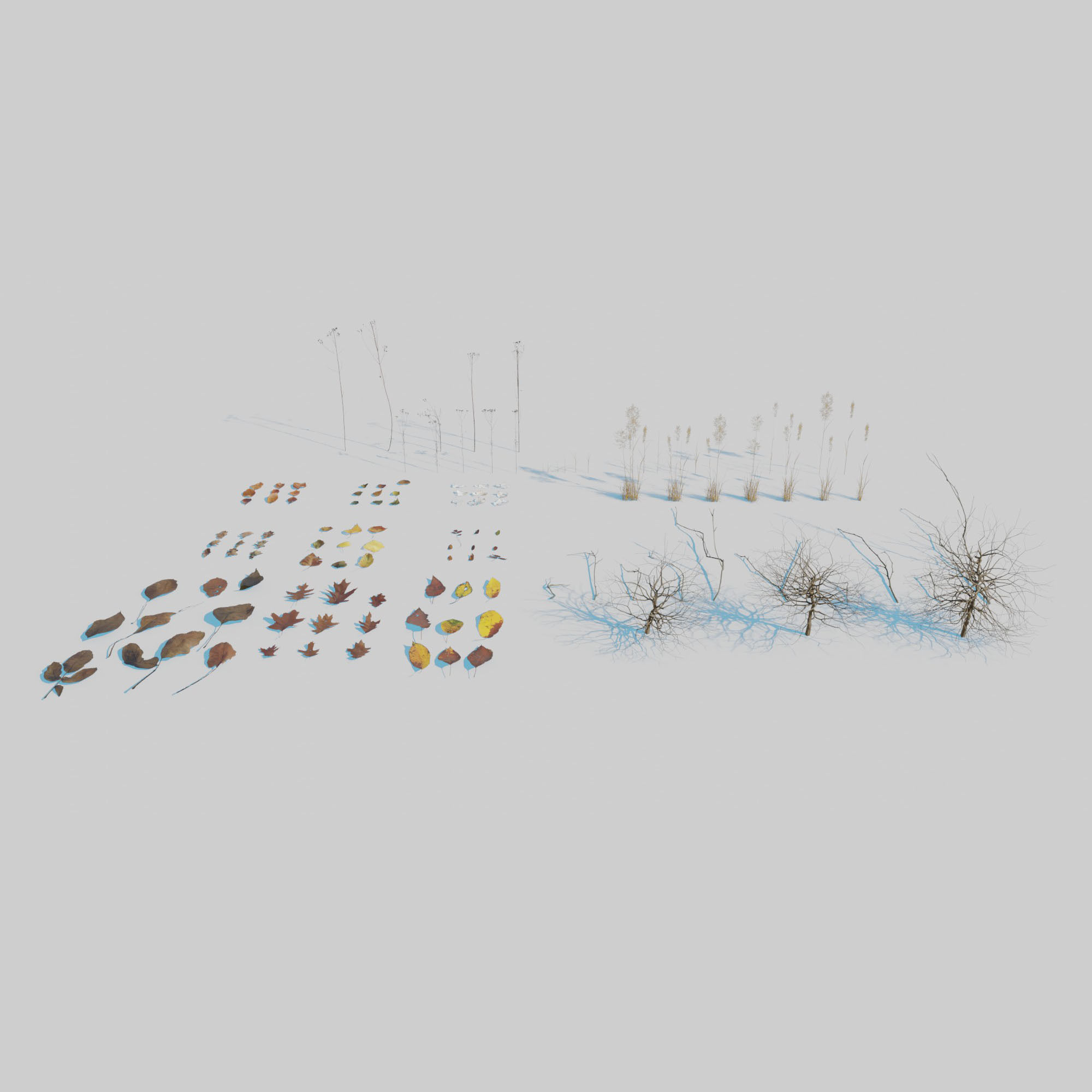 Dry Plants Pack 3D model_1