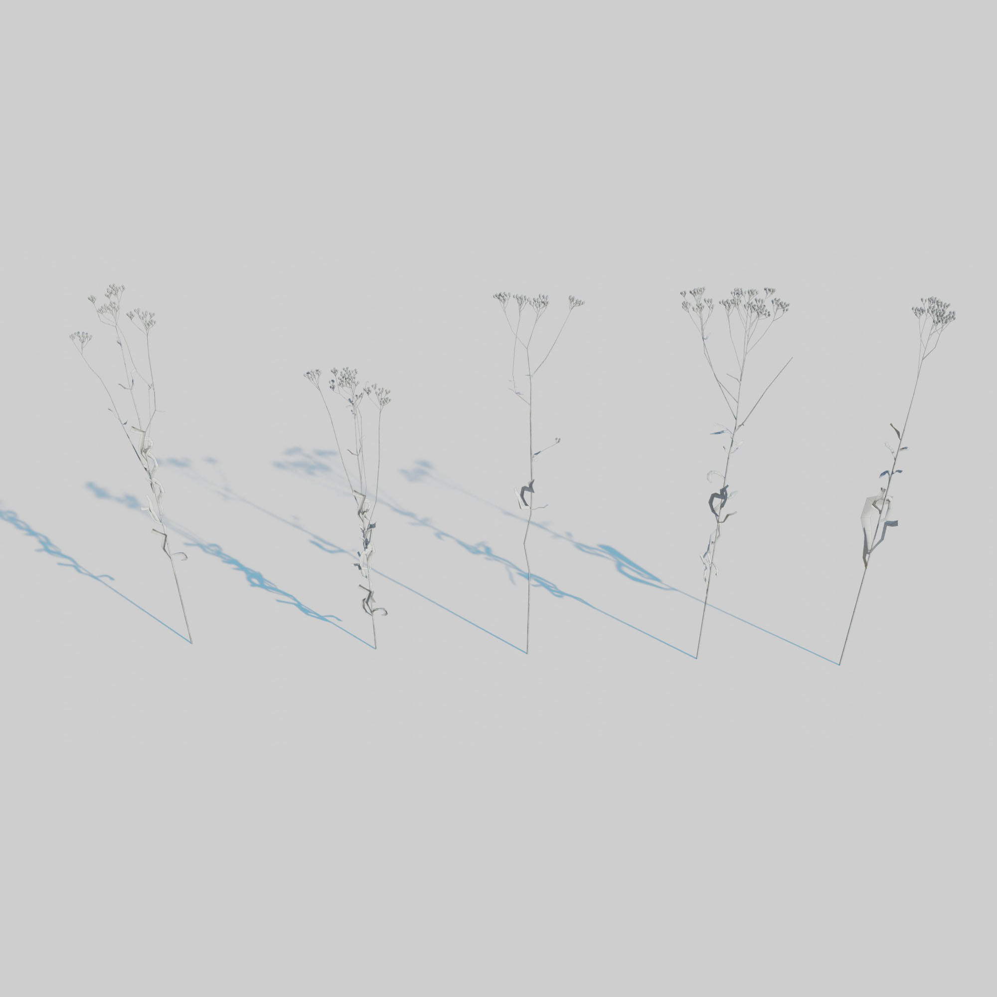 Dry Plants Pack 3D model_14