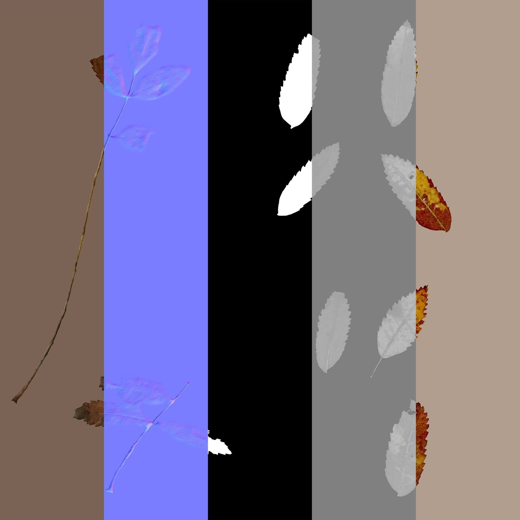 Dry Plants Pack 3D model_55