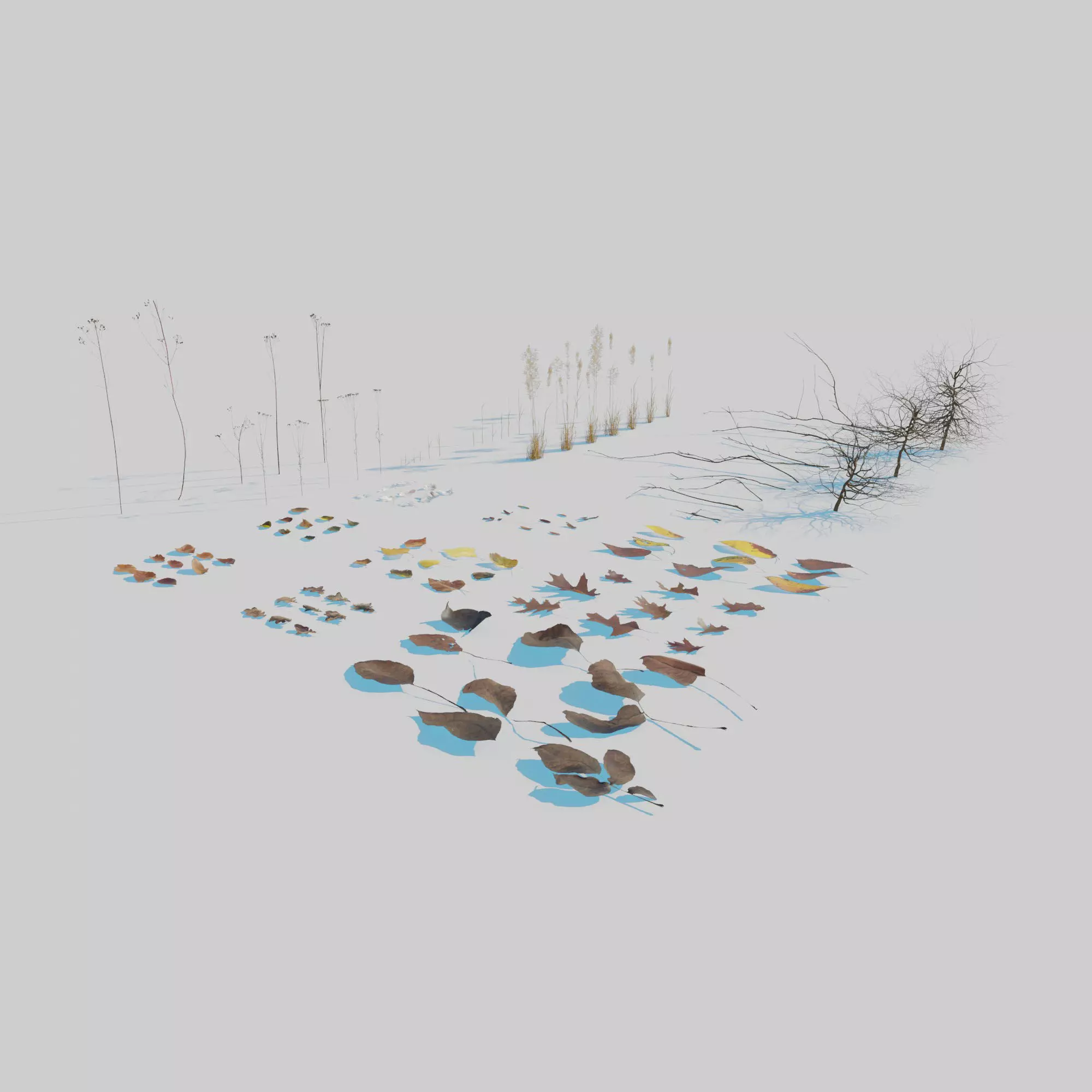Dry Plants Pack 3D model_0
