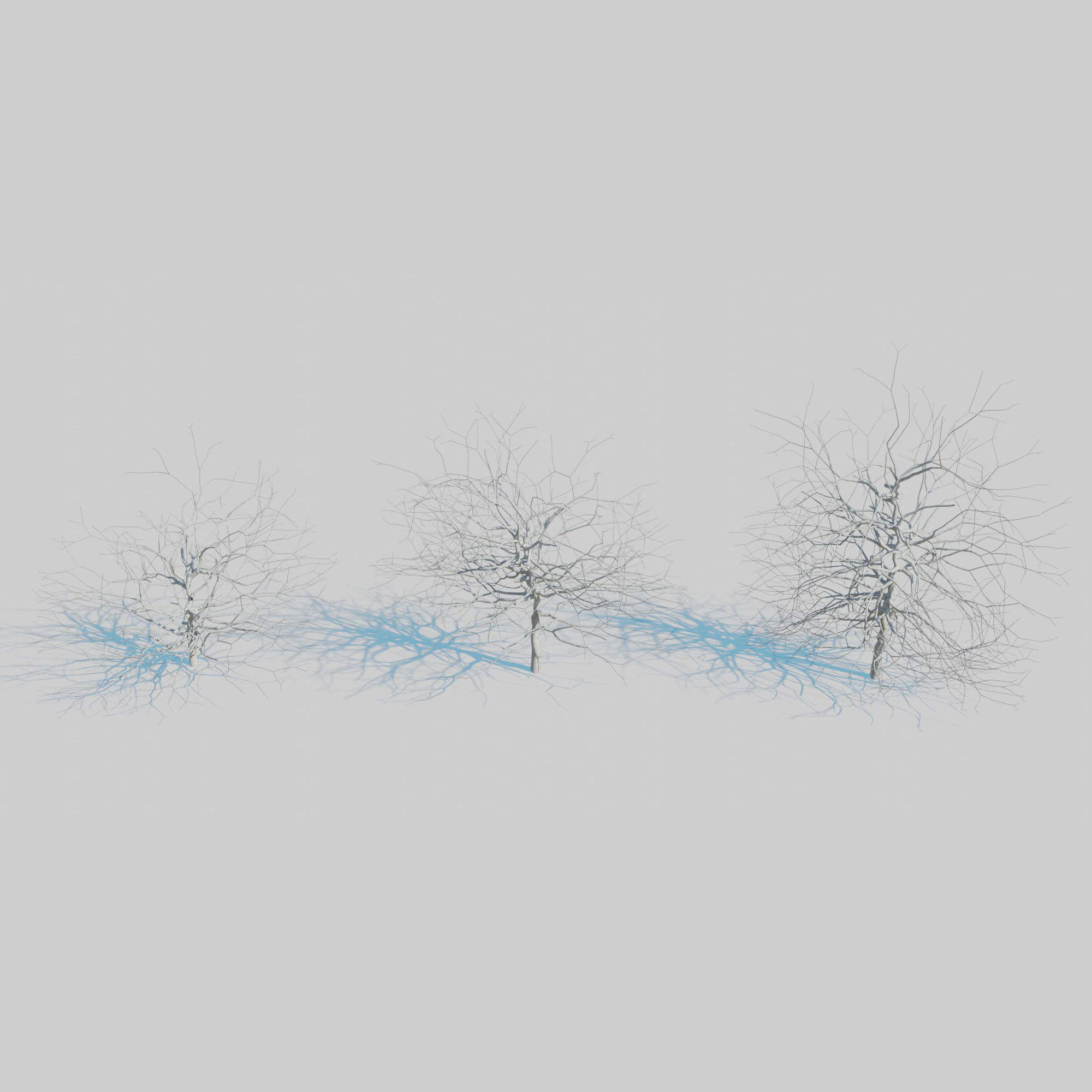 Dry Plants Pack 3D model_24