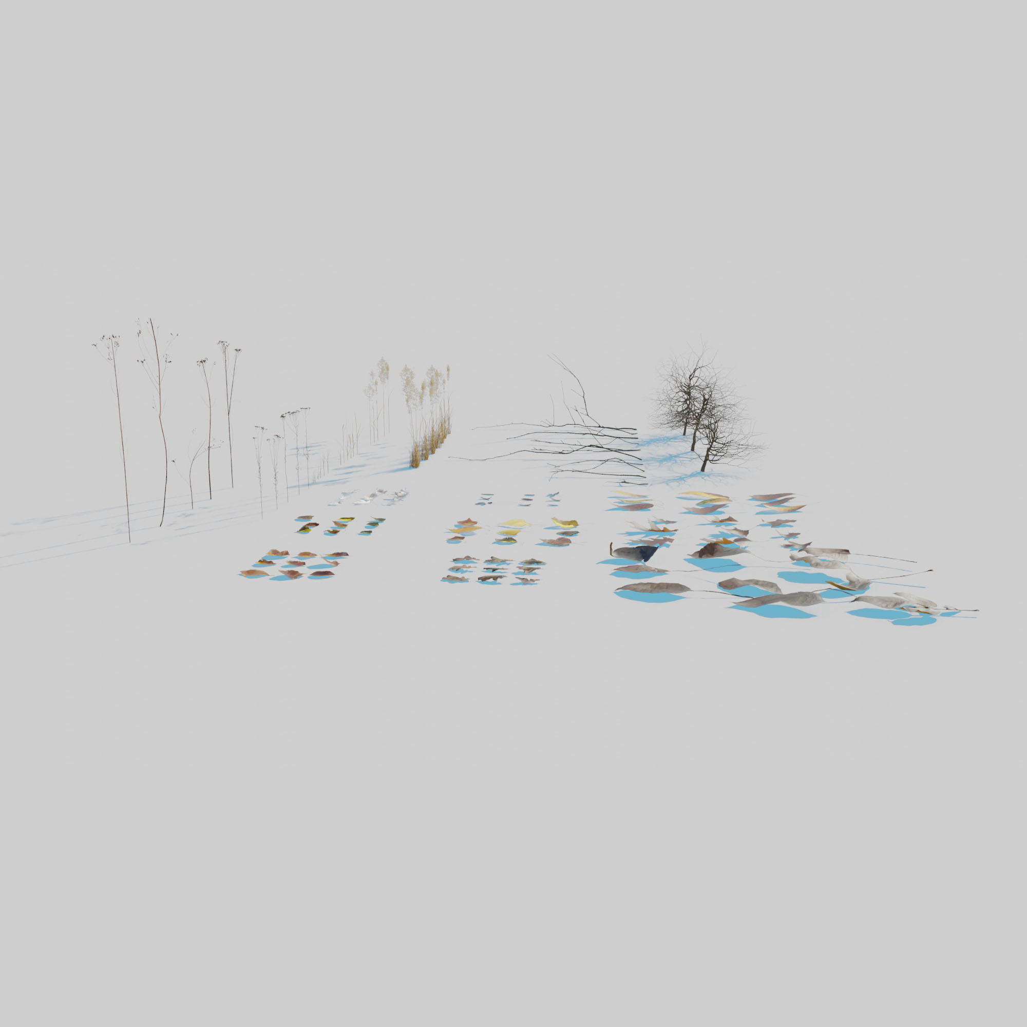 Dry Plants Pack 3D model_7