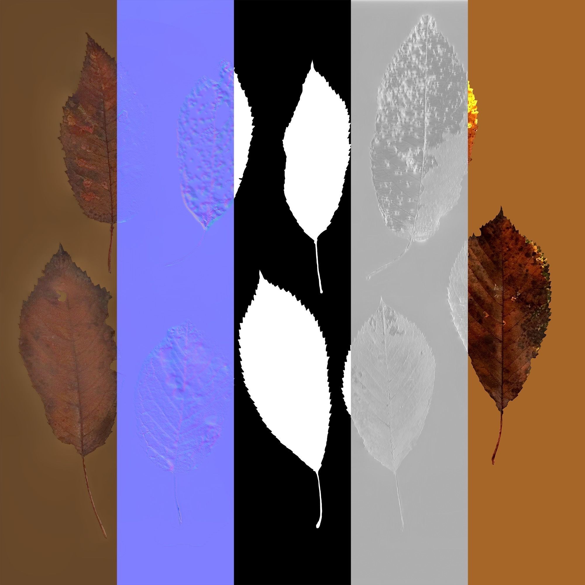 Dry Plants Pack 3D model_52