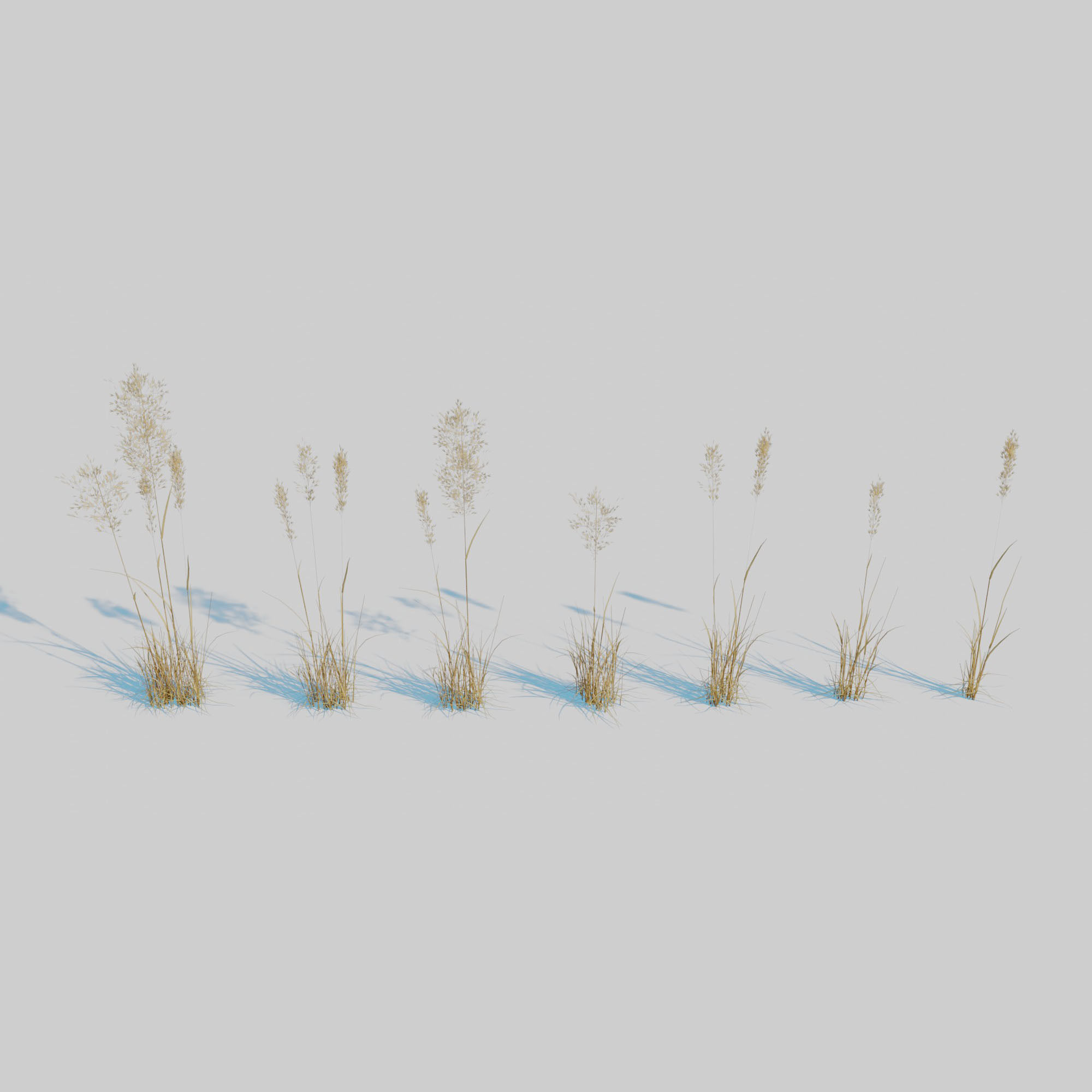 Dry Plants Pack 3D model_15