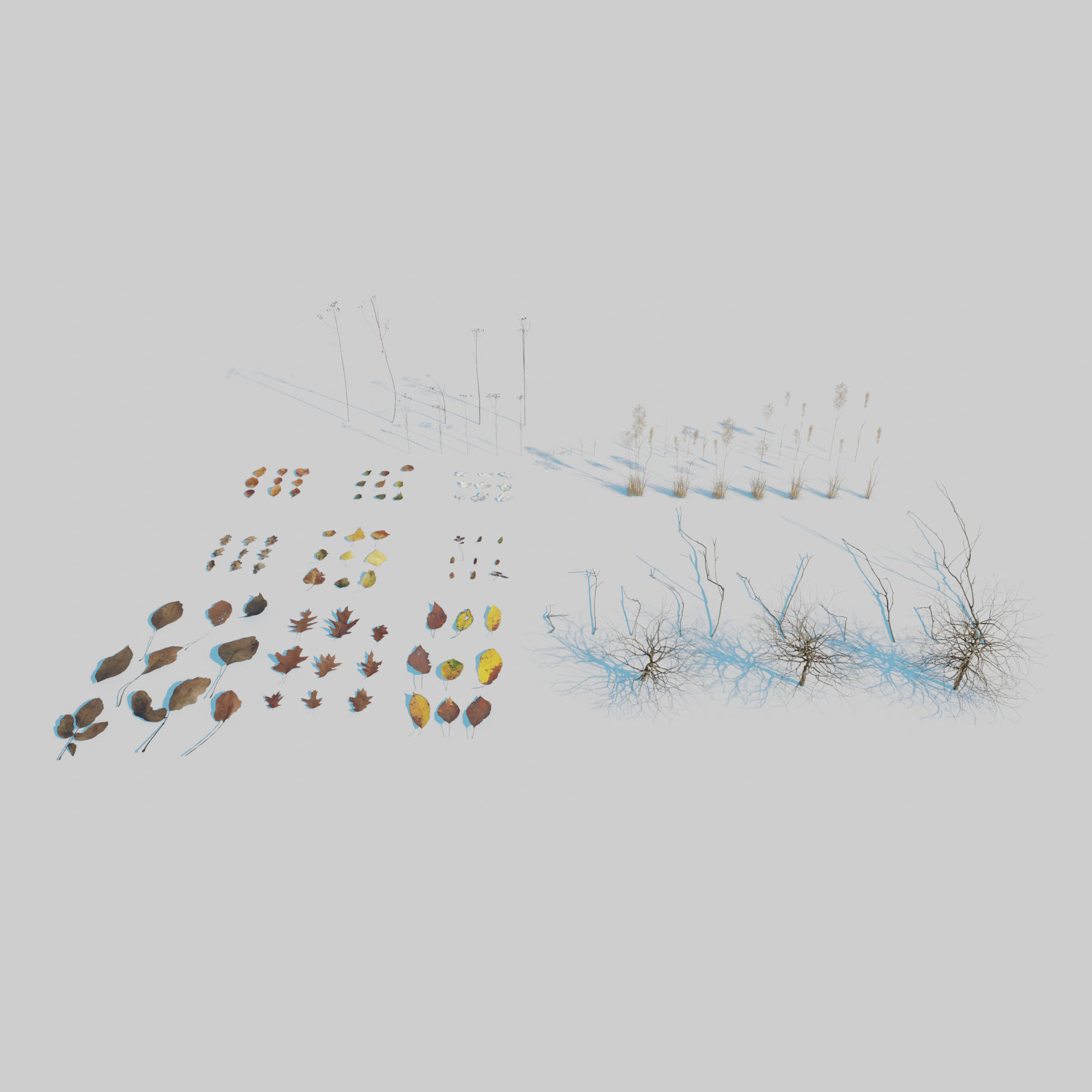 Dry Plants Pack 3D model_9