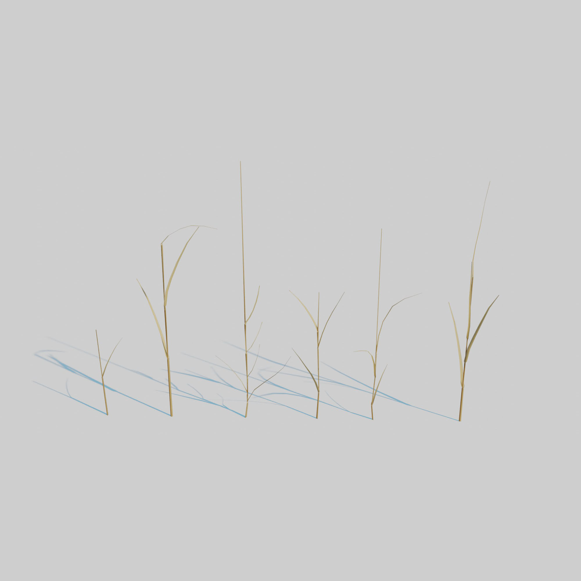 Dry Plants Pack 3D model_19