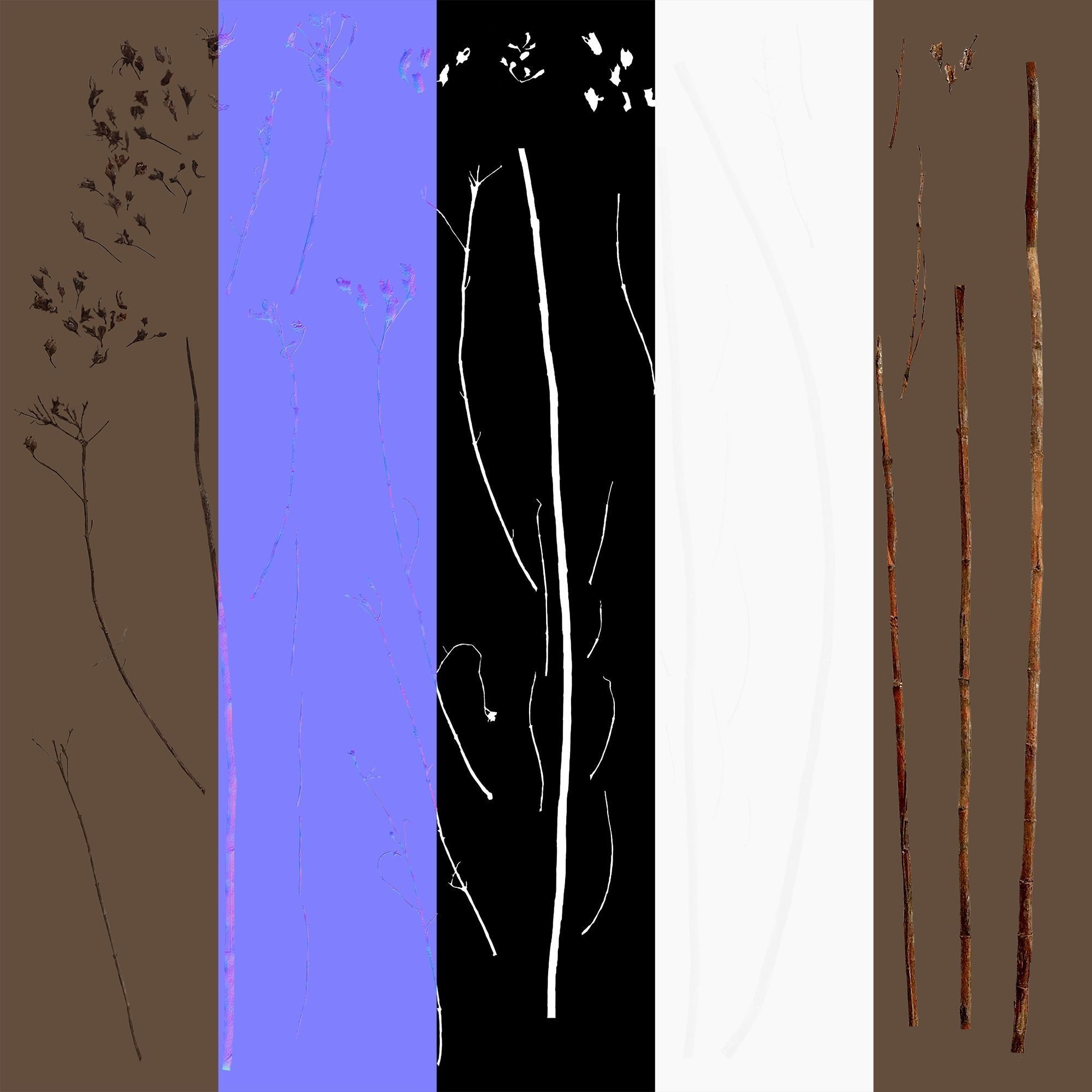 Dry Plants Pack 3D model_45