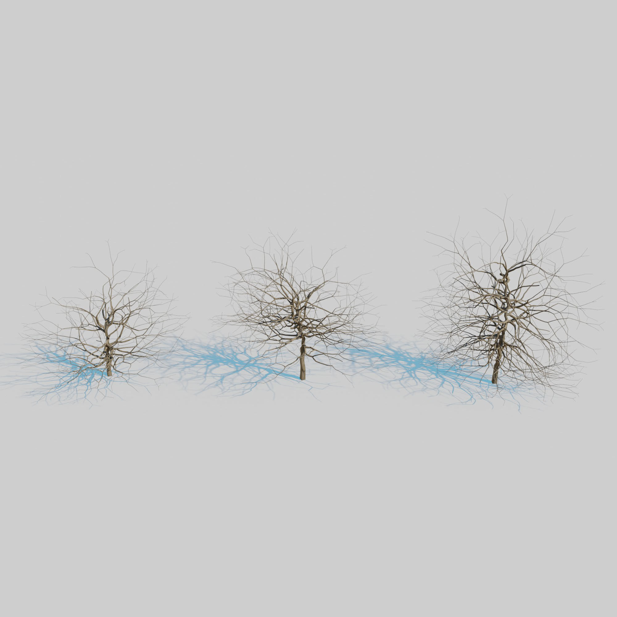 Dry Plants Pack 3D model_23