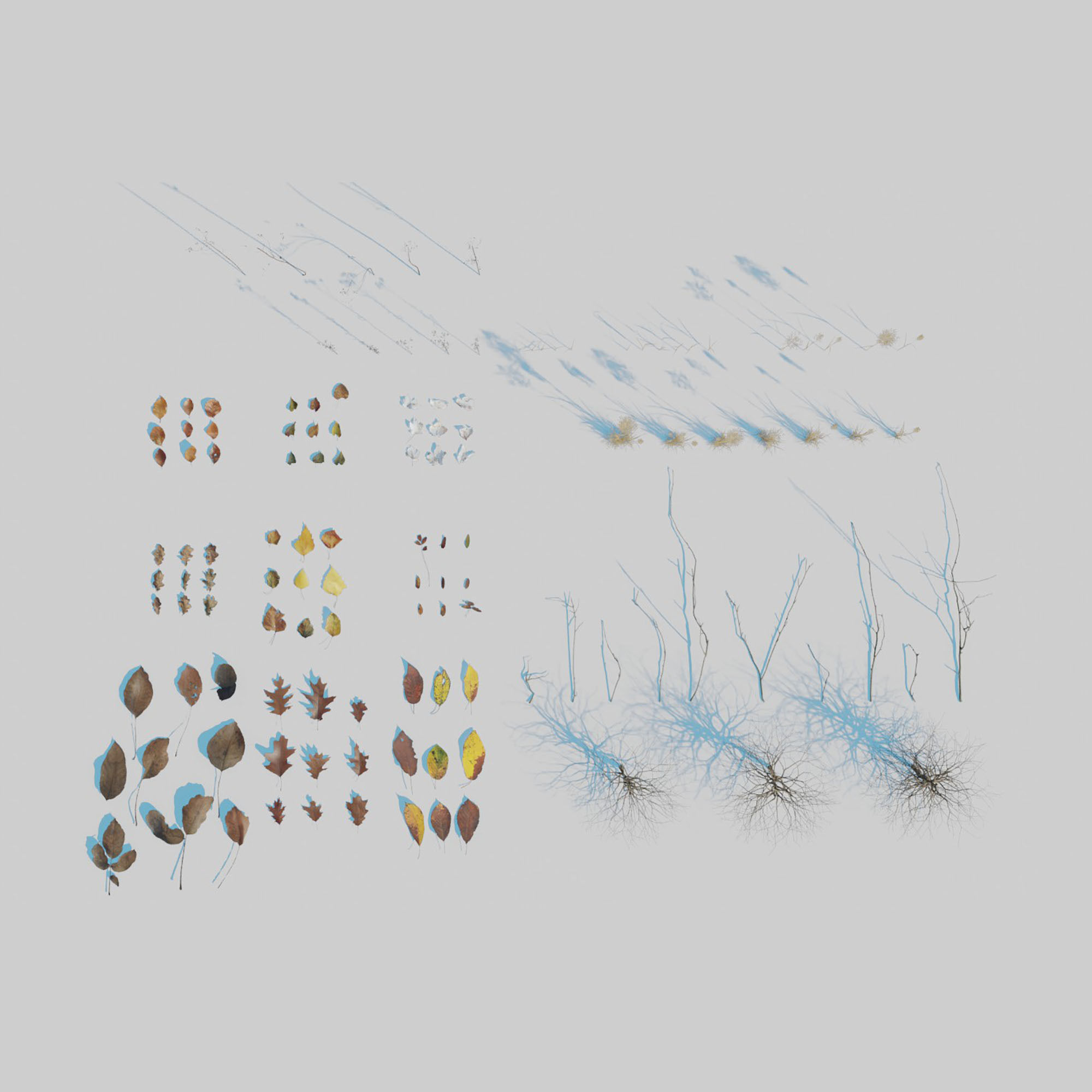 Dry Plants Pack 3D model_8