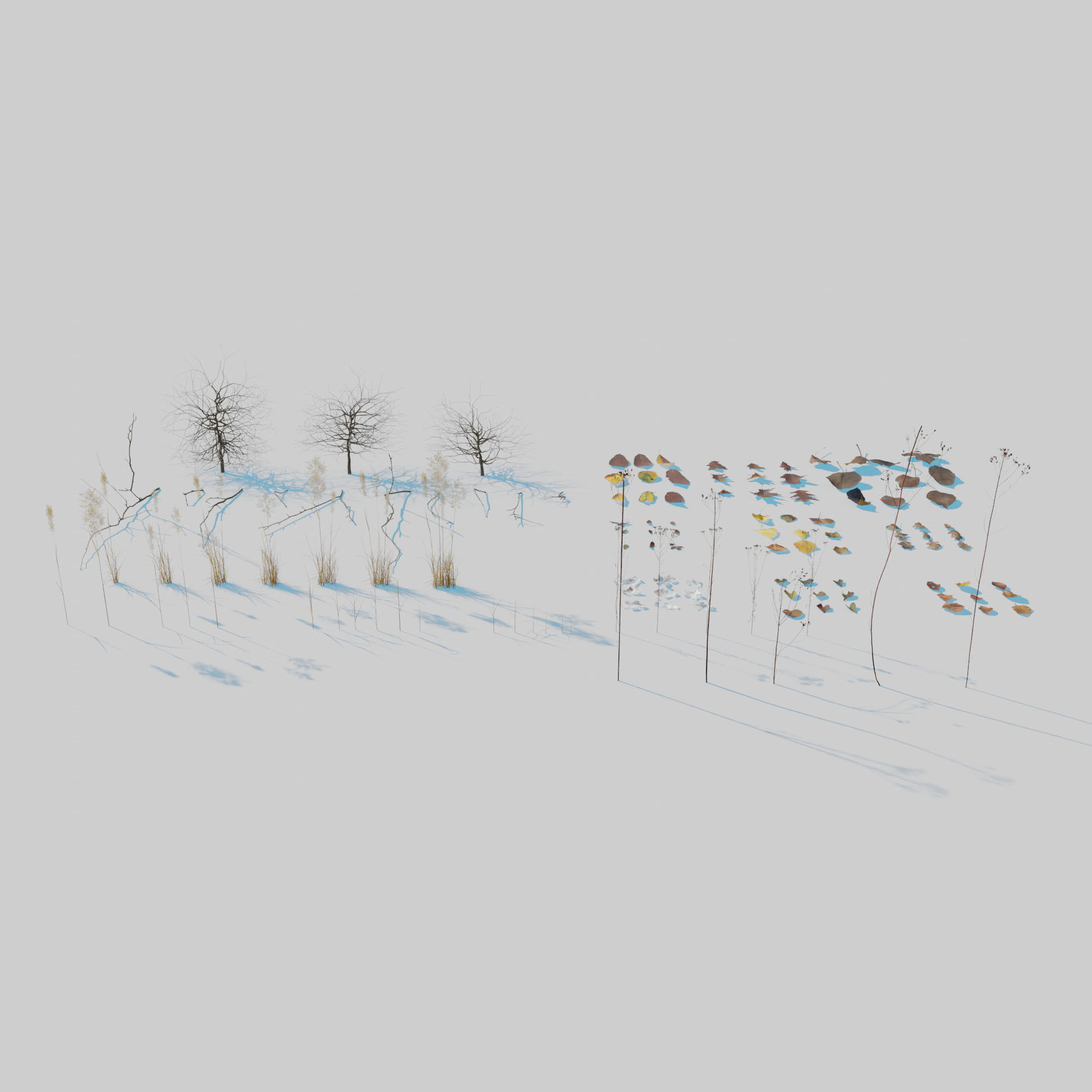 Dry Plants Pack 3D model_5