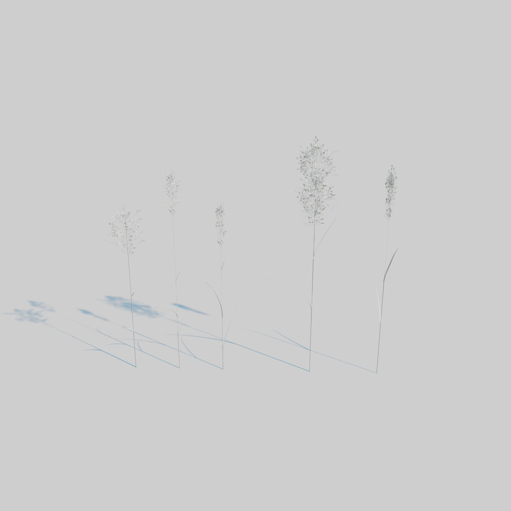 Dry Plants Pack 3D model_22