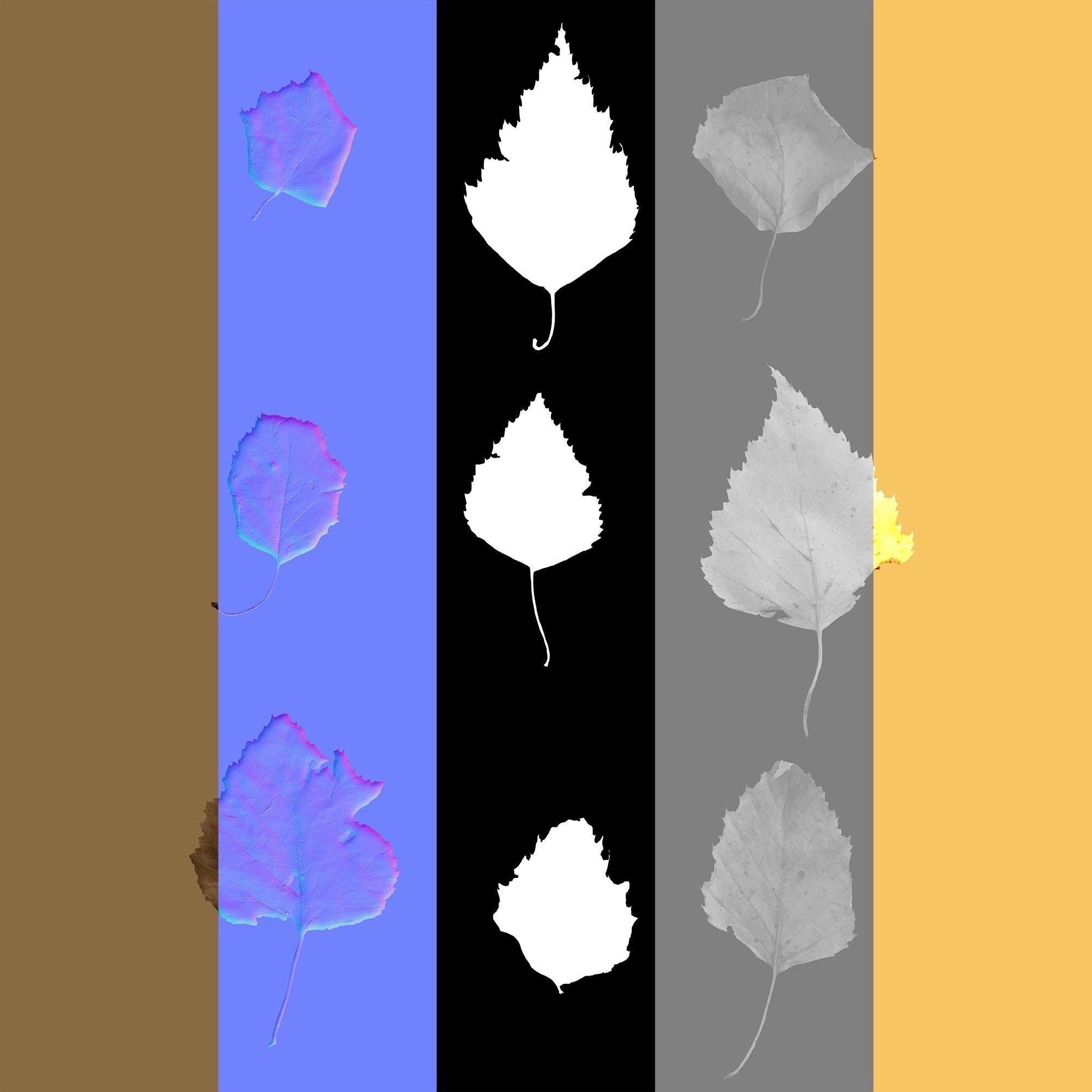 Dry Plants Pack 3D model_51