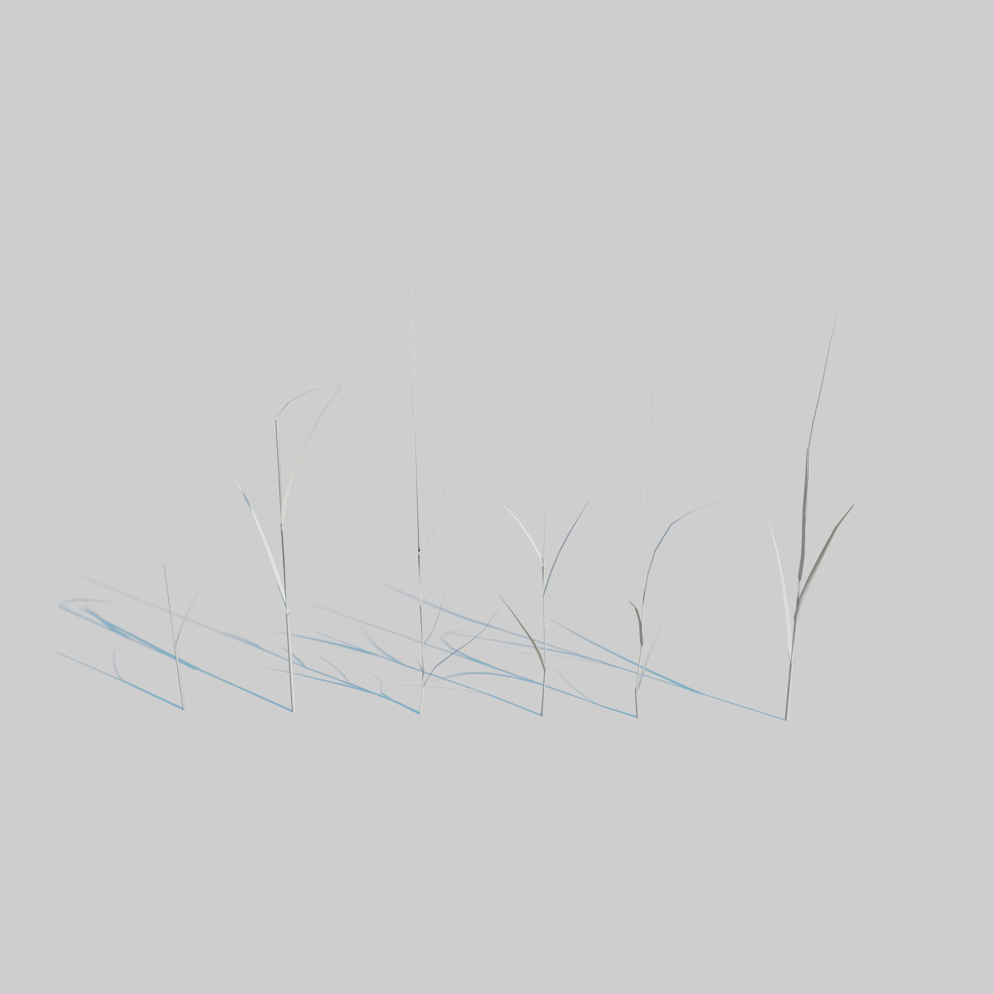 Dry Plants Pack 3D model_20