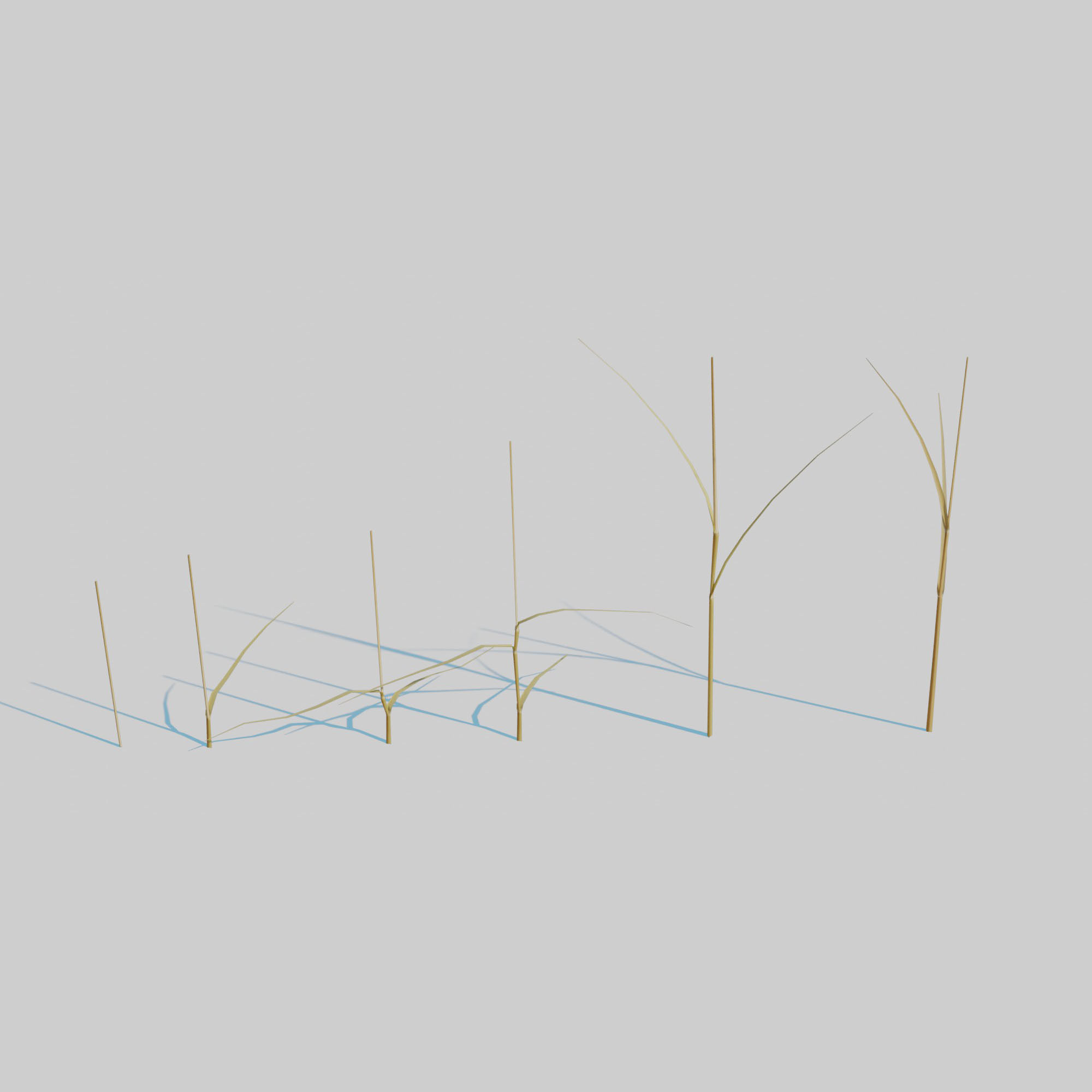 Dry Plants Pack 3D model_17