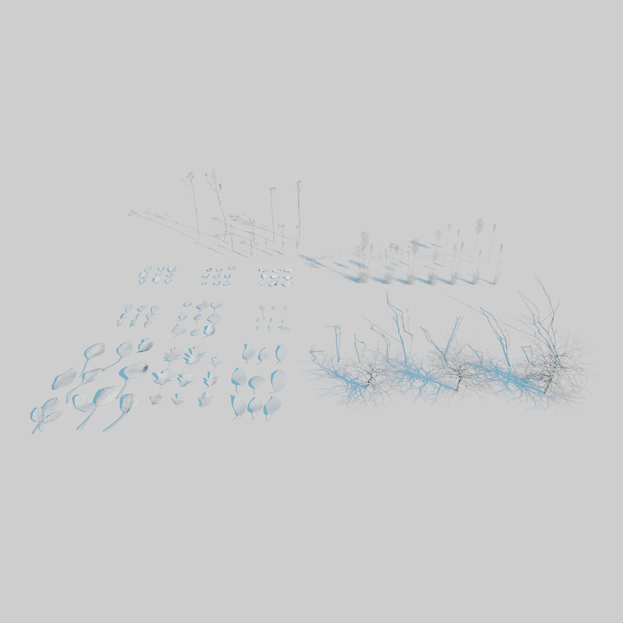 Dry Plants Pack 3D model_10