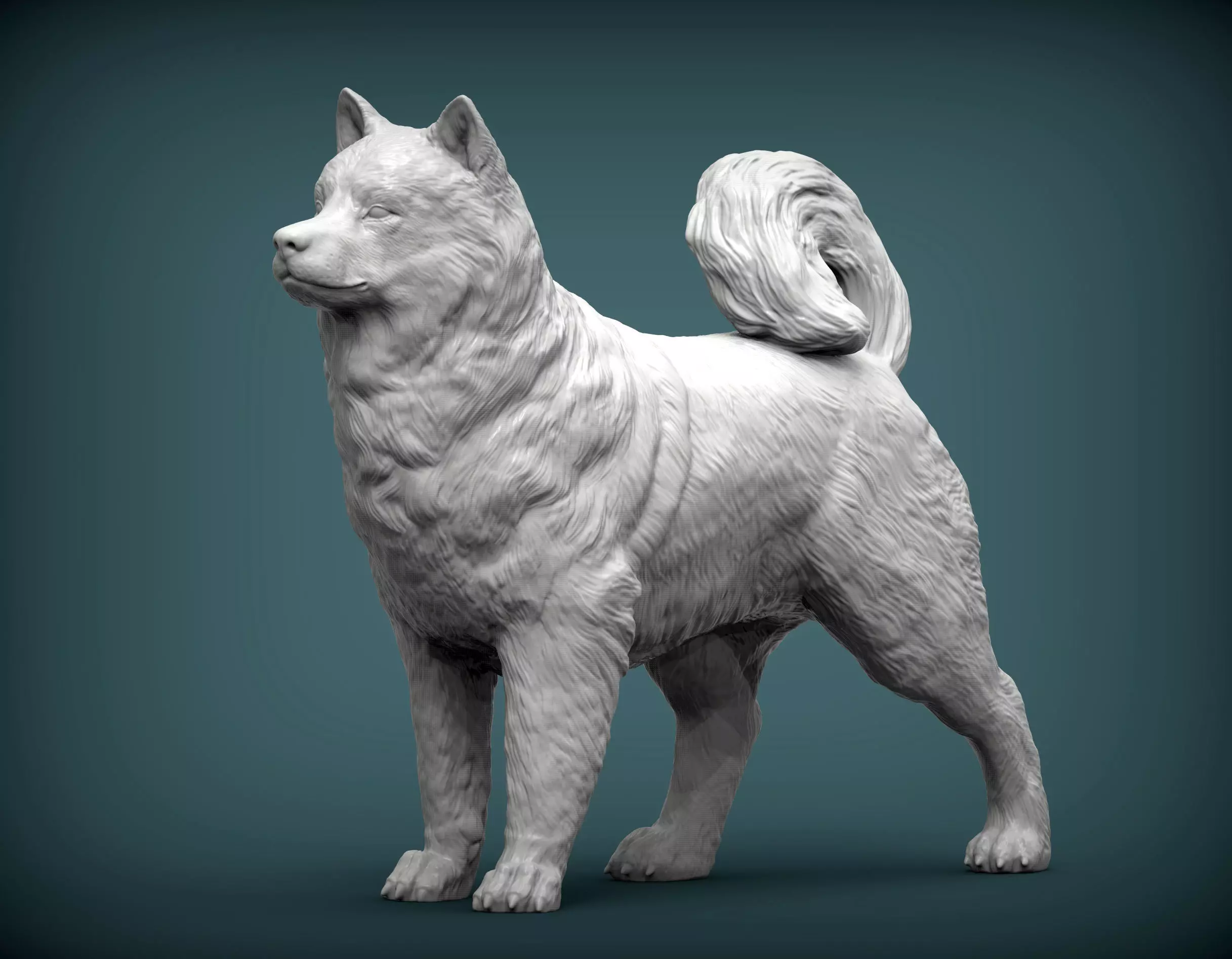 Alaskan Malamute 3D print model
