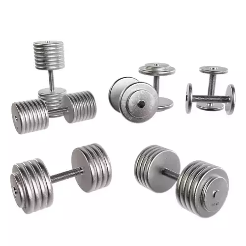 Dumbbells two metal