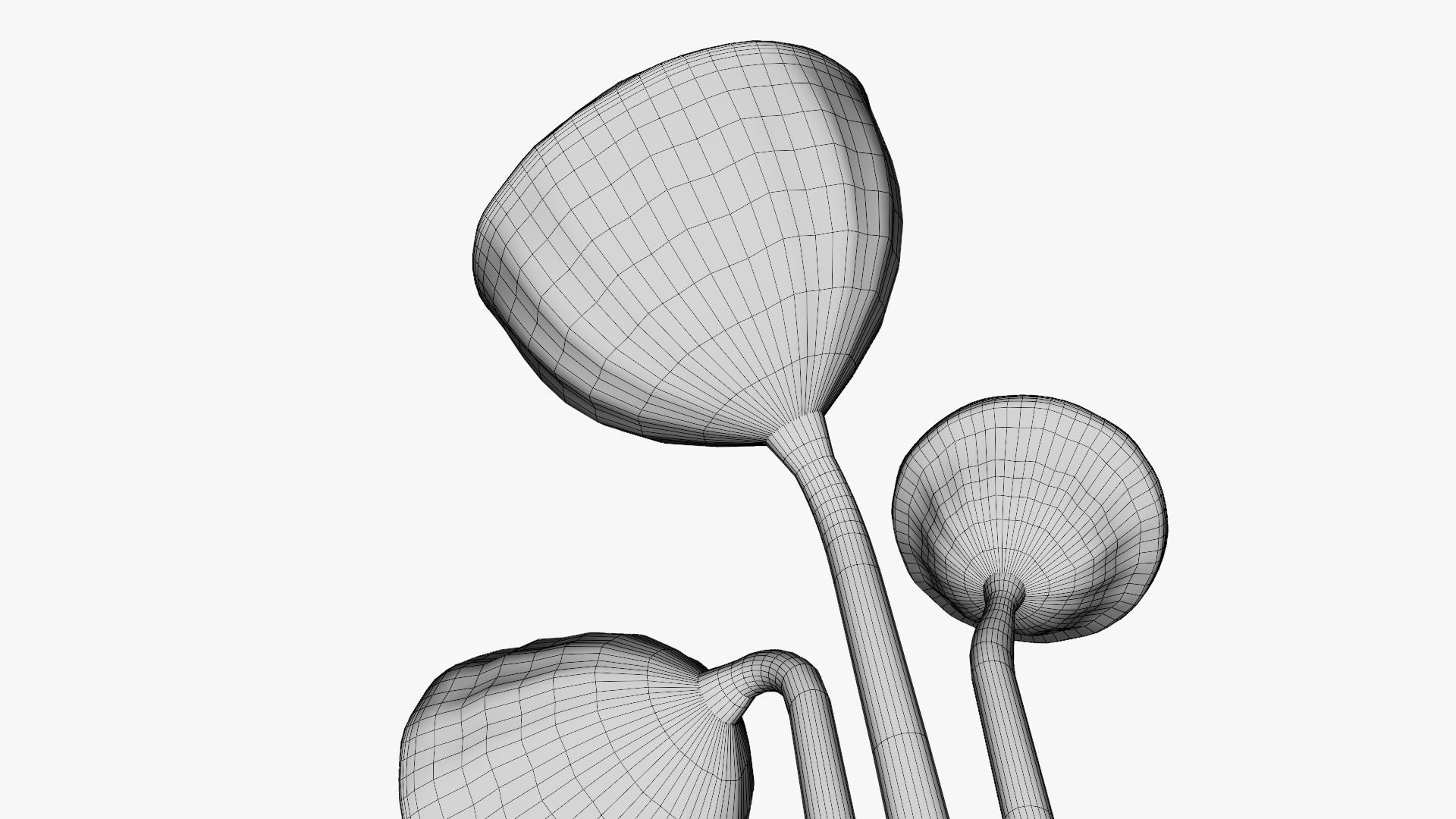 Lotus seed pods 3D model_19