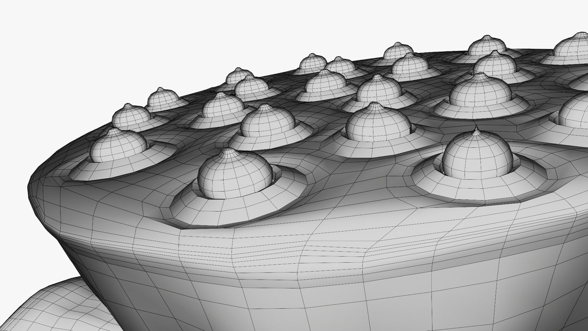 Lotus seed pods 3D model_22