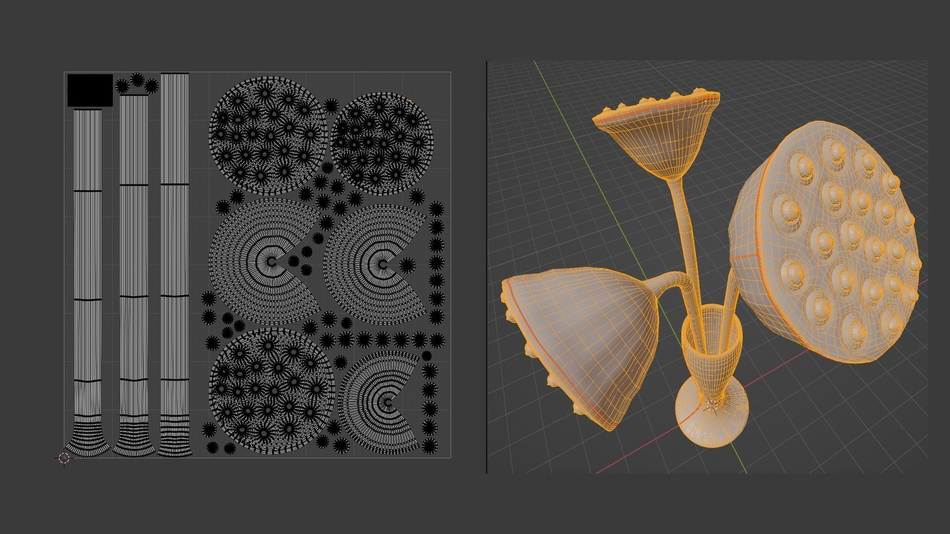 Lotus seed pods 3D model_13