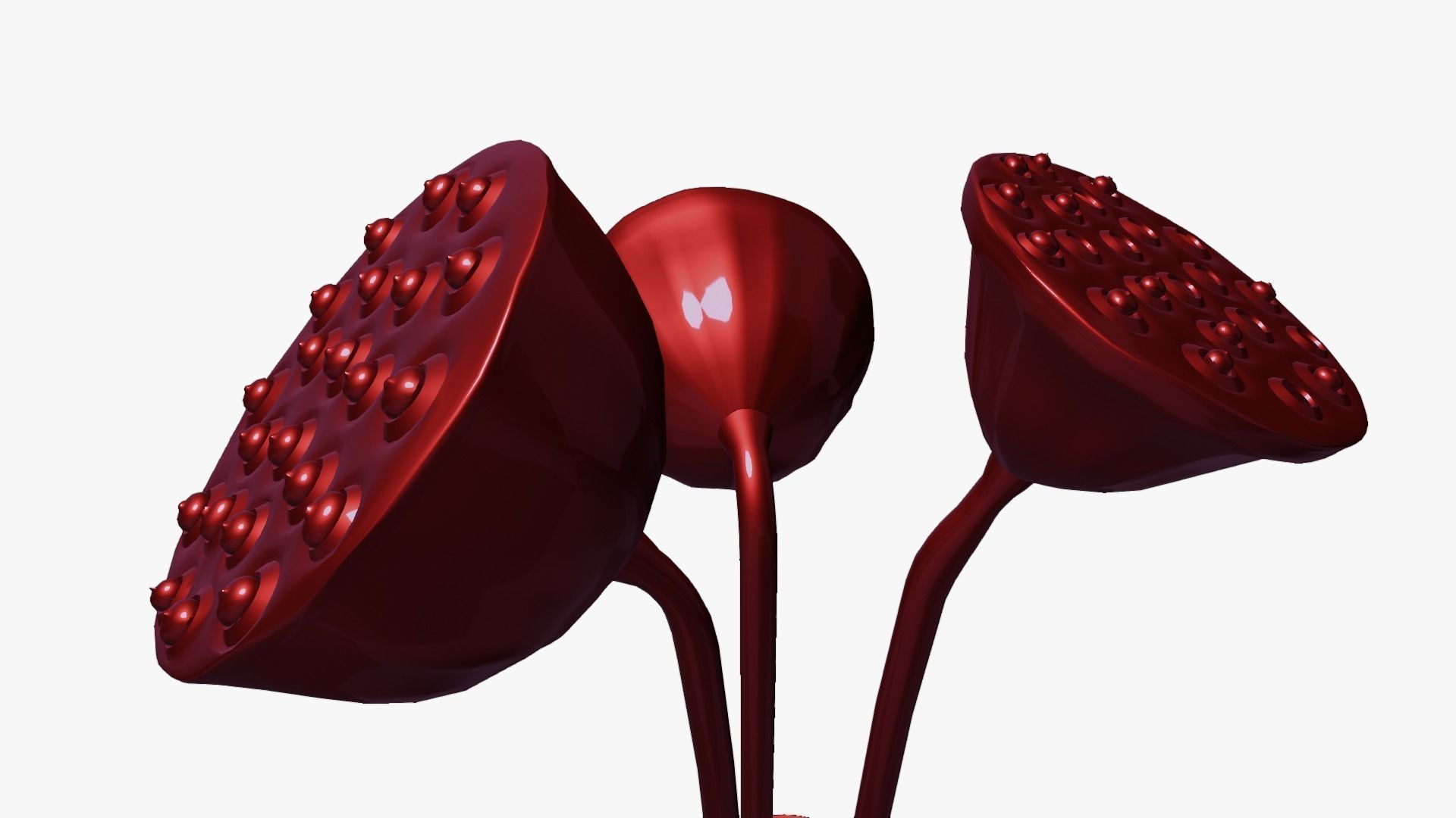 Lotus seed pods 3D model_24
