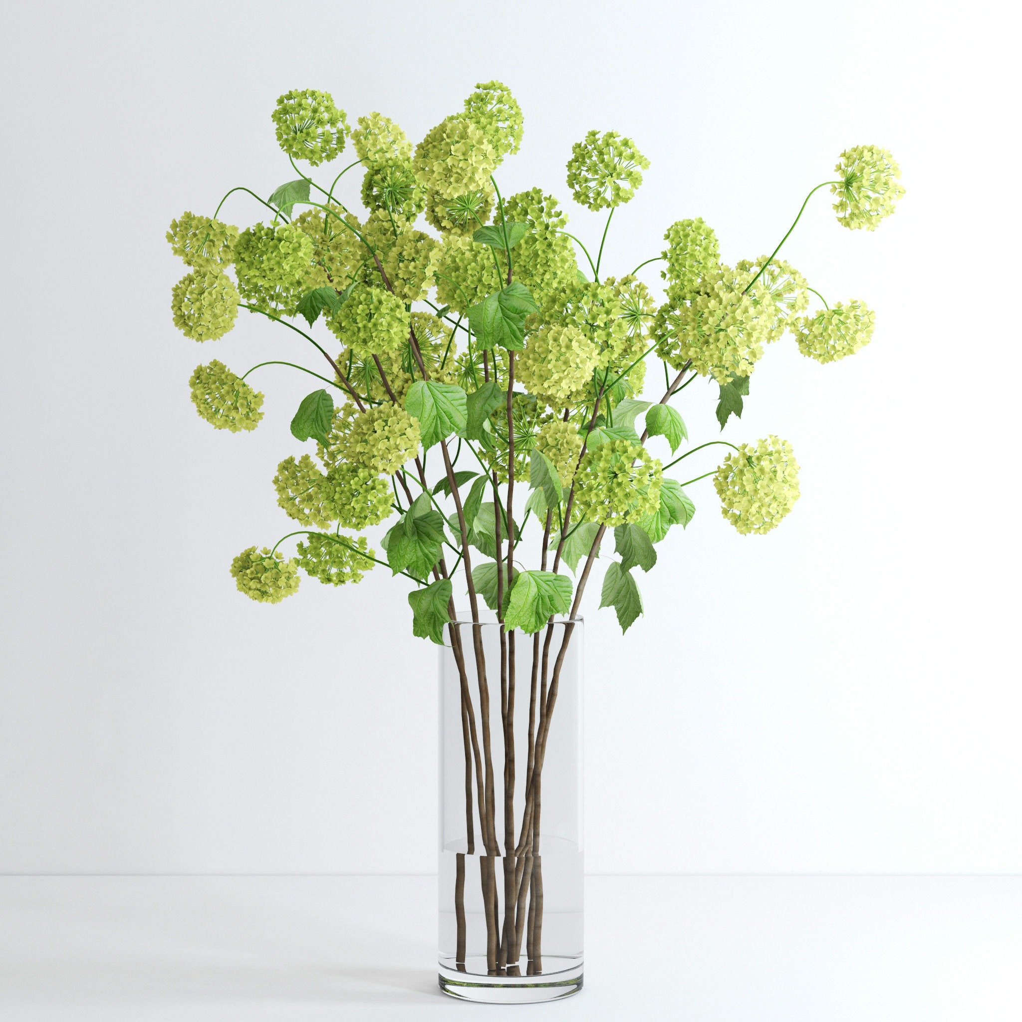 Viburnum hydrangeas in vase 3D model_4