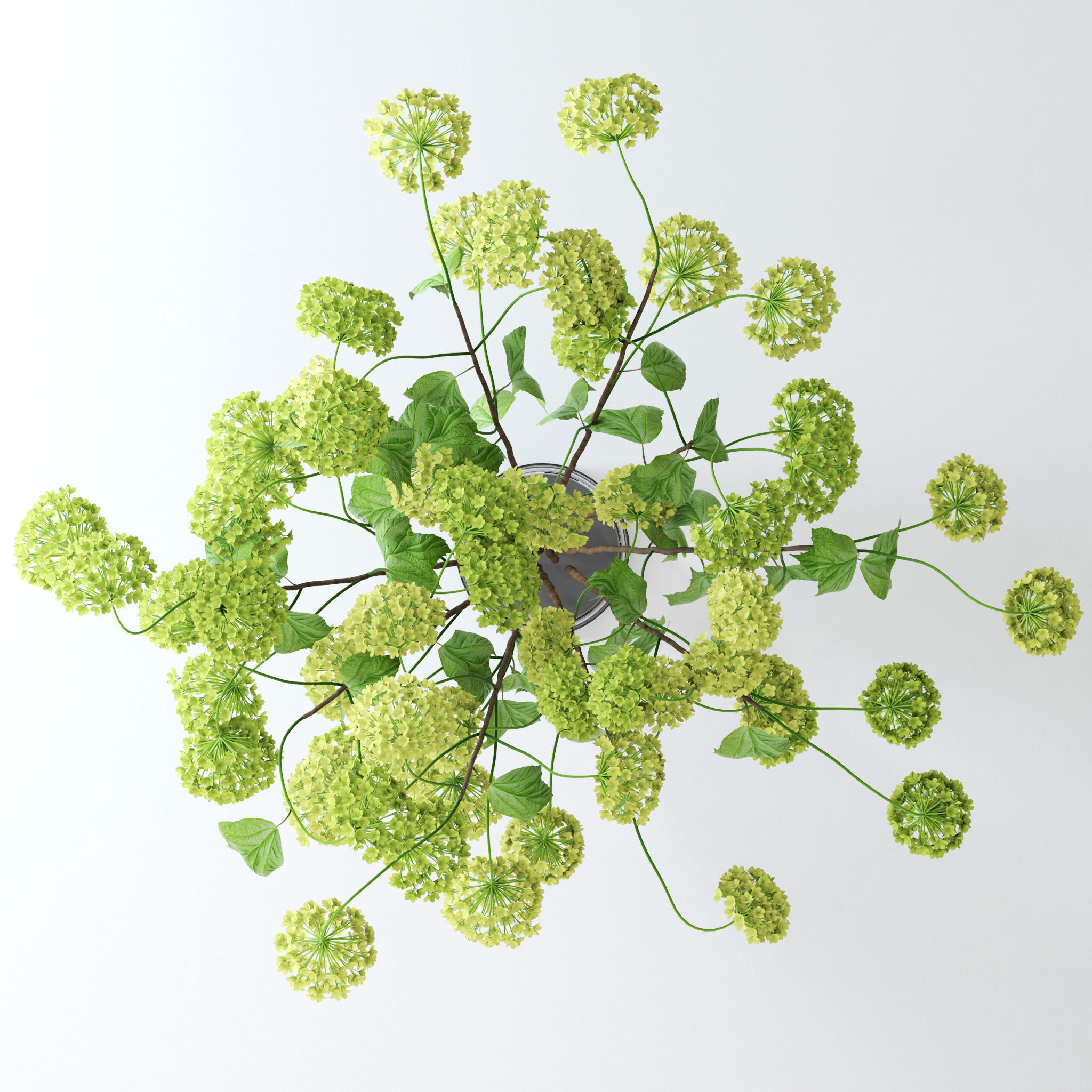 Viburnum hydrangeas in vase 3D model_6
