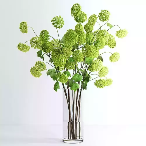 Viburnum hydrangeas in vase 3D model