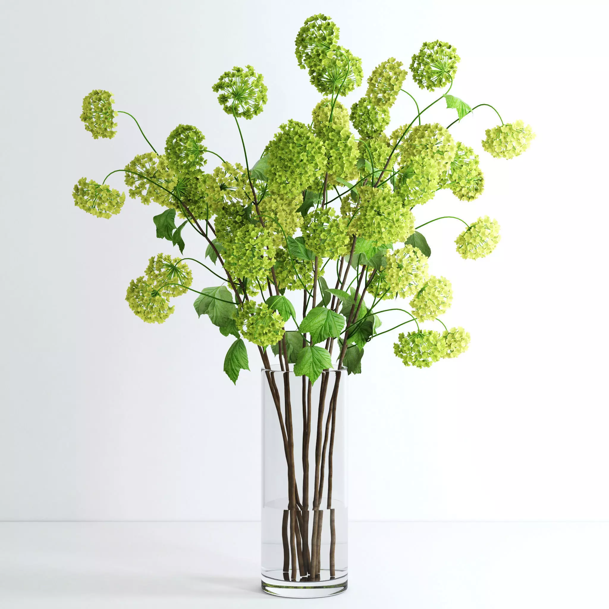 Viburnum hydrangeas in vase 3D model_0